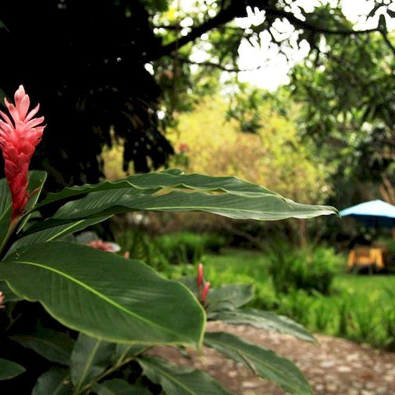 Hotel Casa Comalli Spa In Comala Colima Hrs