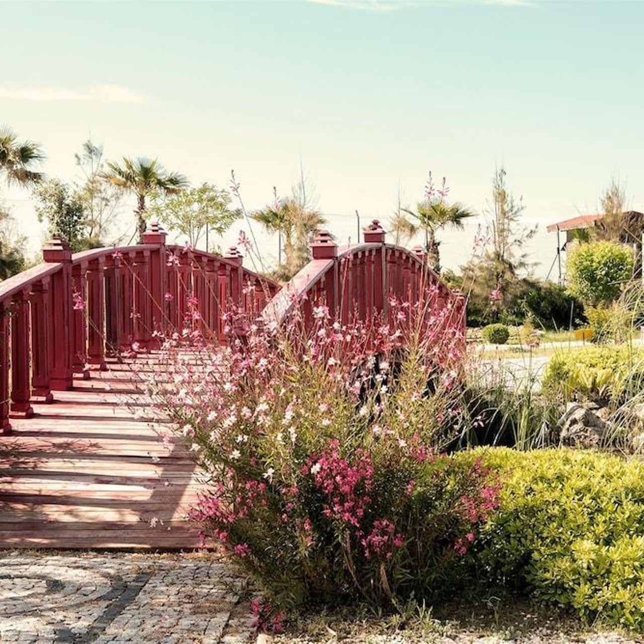 Hotel Sentido Flora Garden All Inclusive Adults Only 5 Hrs Star Hotel In Cavuskoy Antalya Ili