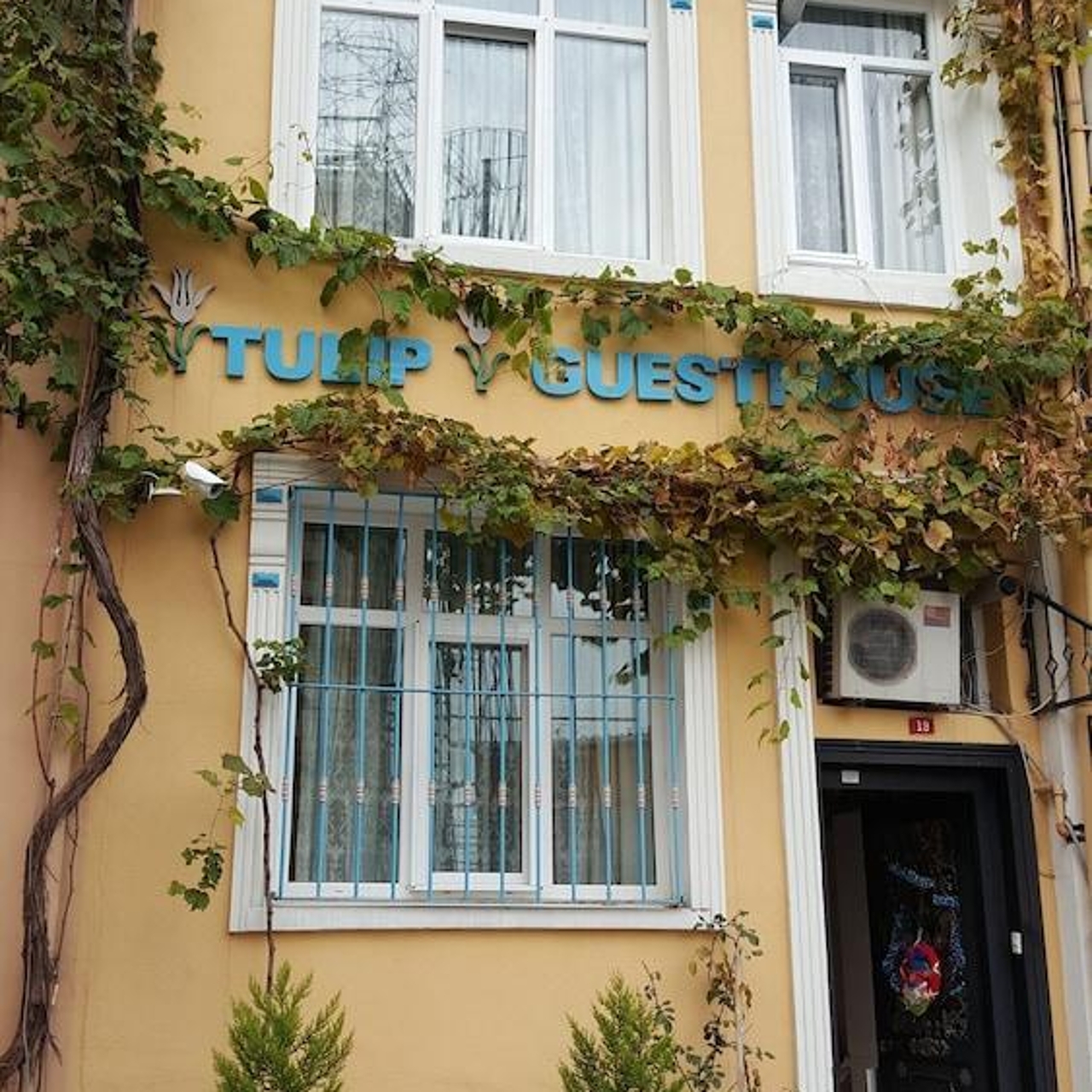 Hotel Tulip Guesthouse In Istanbul Istanbul Hrs