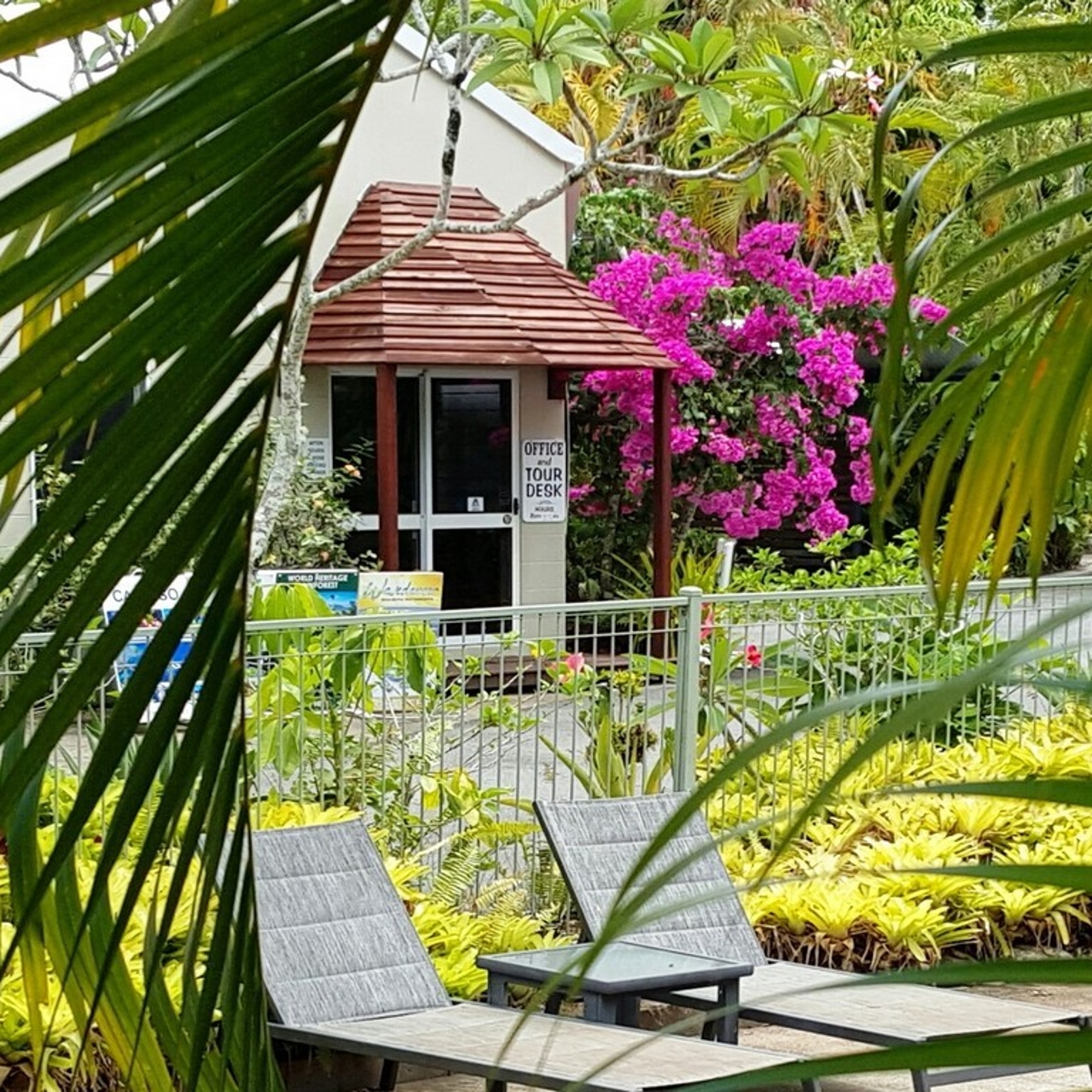 Port Douglas Queensland Australie L Australie Hrs