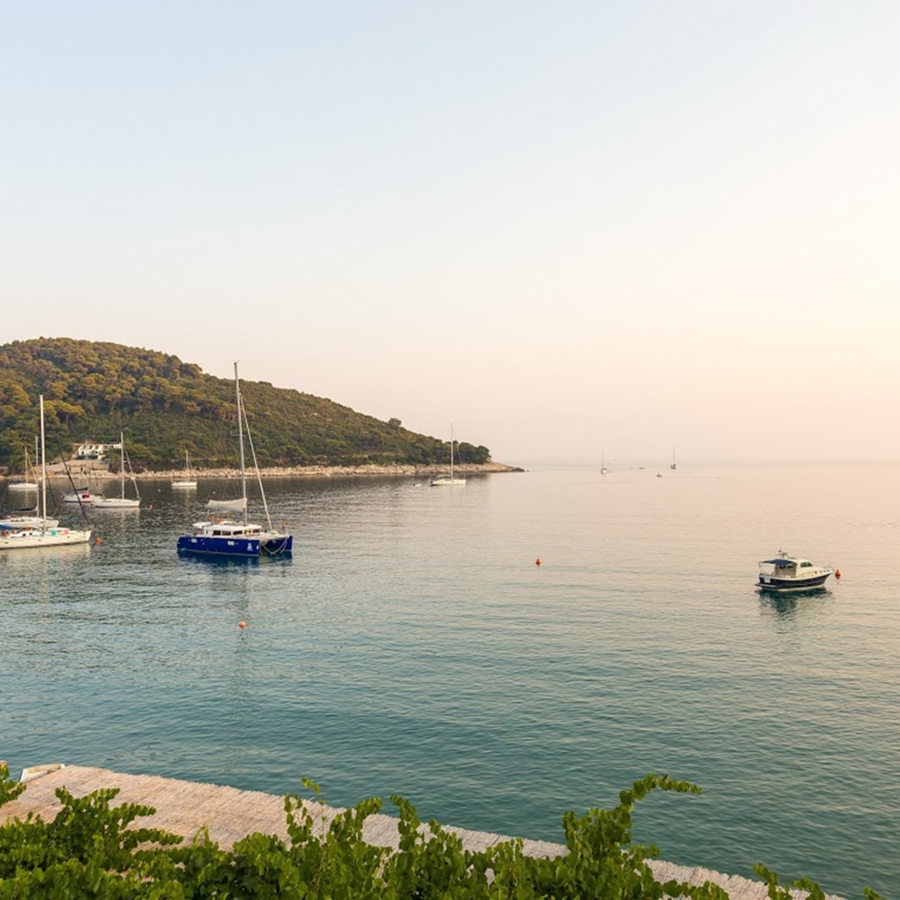 Hotel Boutique Pine Tree Apartments Croatia At Hrs With Free Services