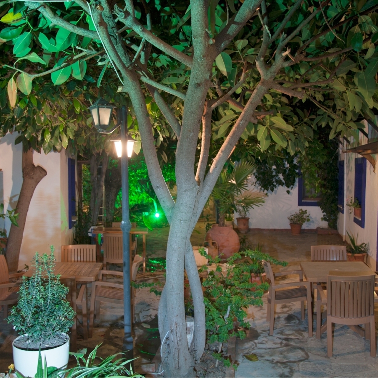 Hotel Oya Butik Otel Suites In Bodrum Mugla Hrs