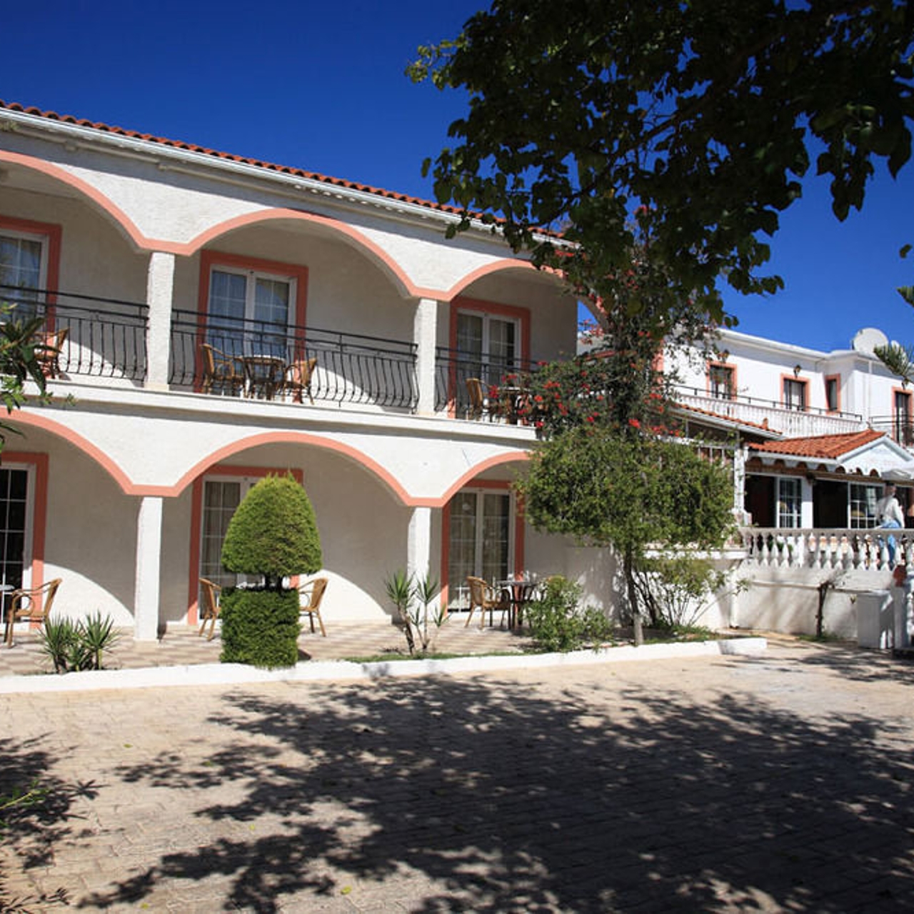 daisy apartments zakynthos