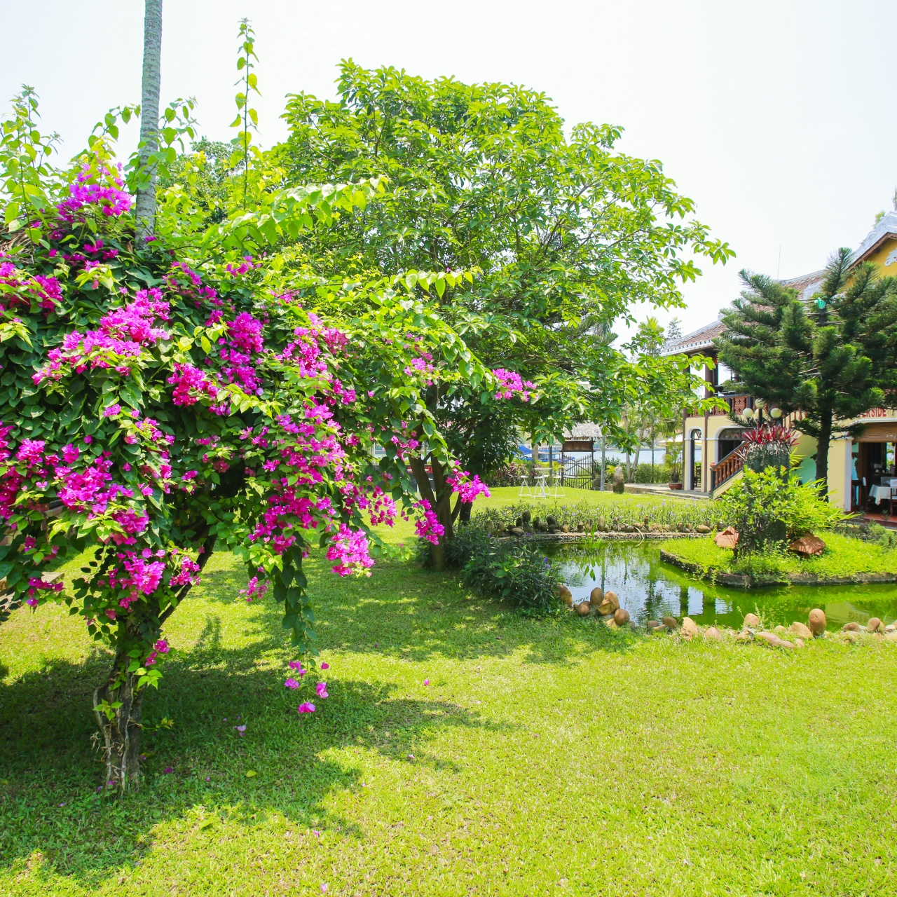 Hotel Pho Hoi Riverside Resort 3 Hrs Star Hotel In Hoi An