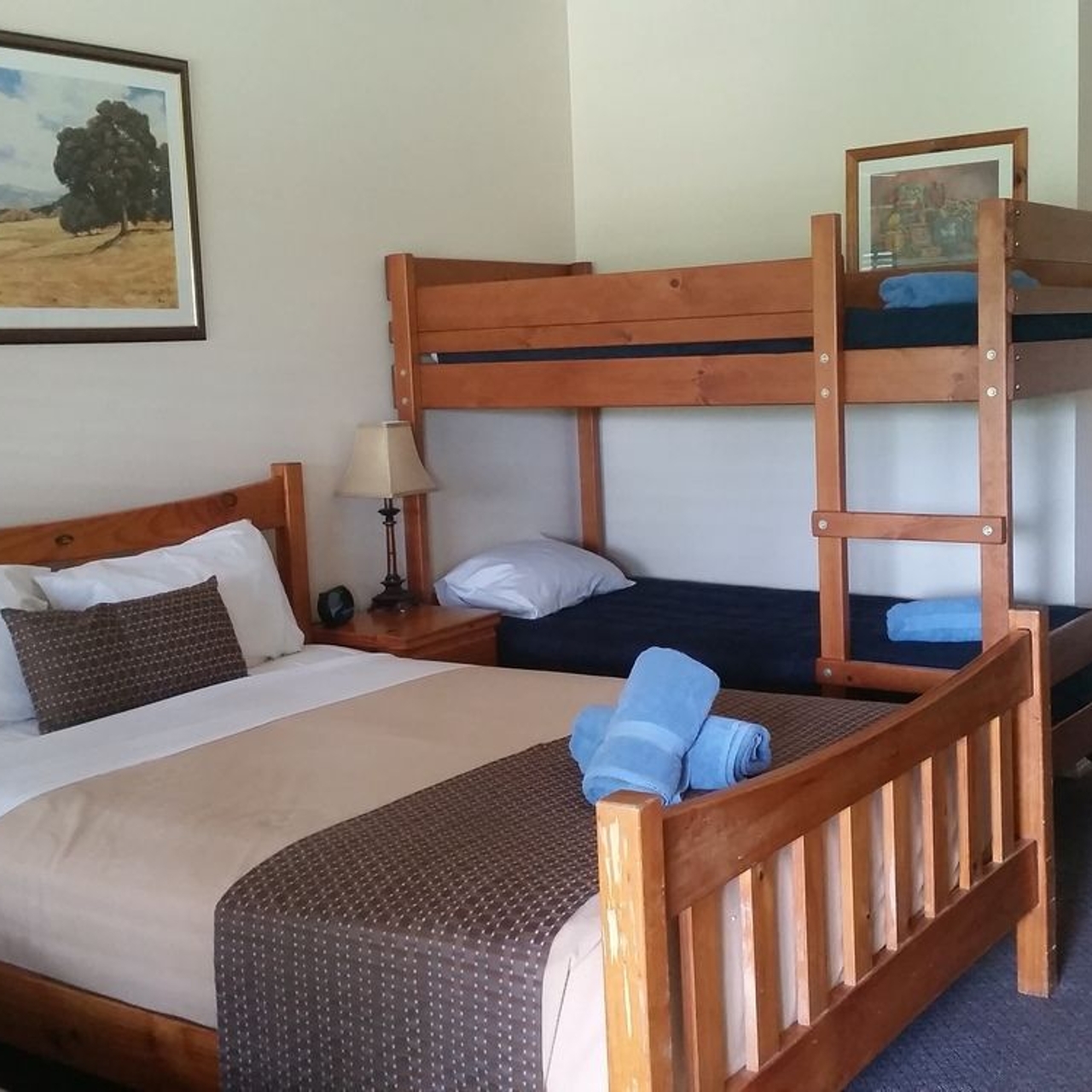Hotel Bearded Dragon Tamborine Country Lodge 3 Hrs Star Hotel In Tambourine State Of Queensland