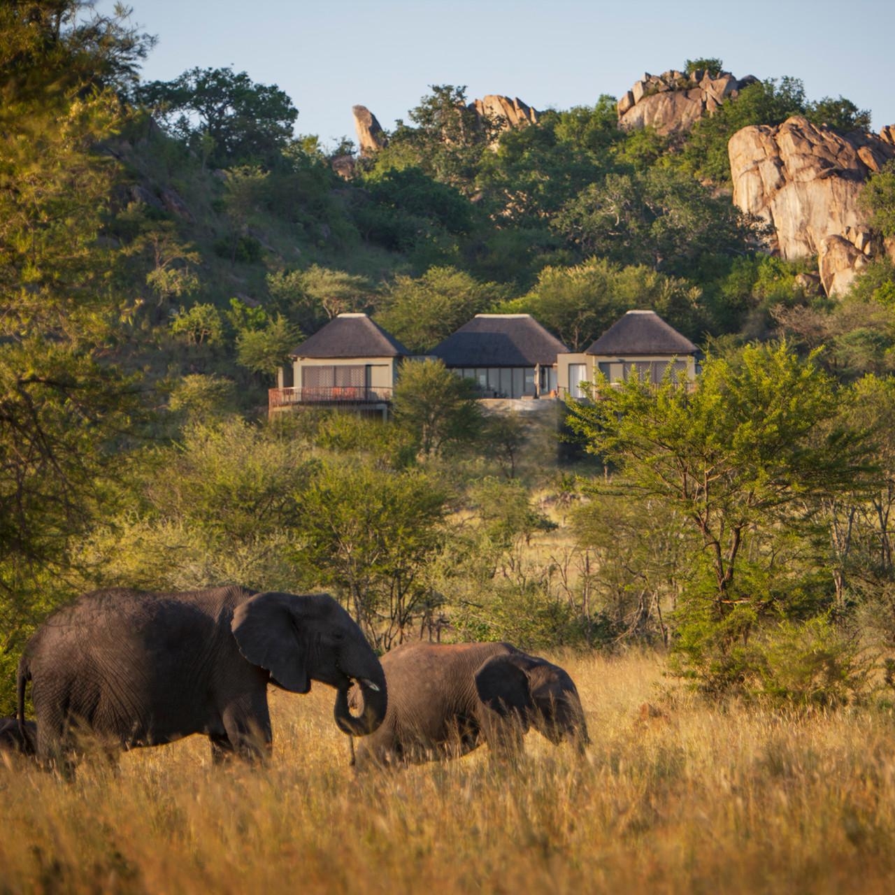 Hotel Four Seasons Serengeti Lodge in Arusha bei HRS günstig buchen