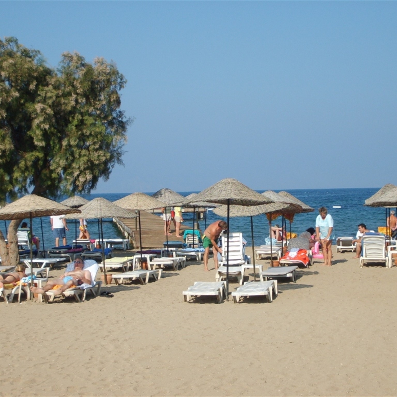 Hotel Tiana Beach Resort 3 Hrs Star Hotel In Bodrum Mugla