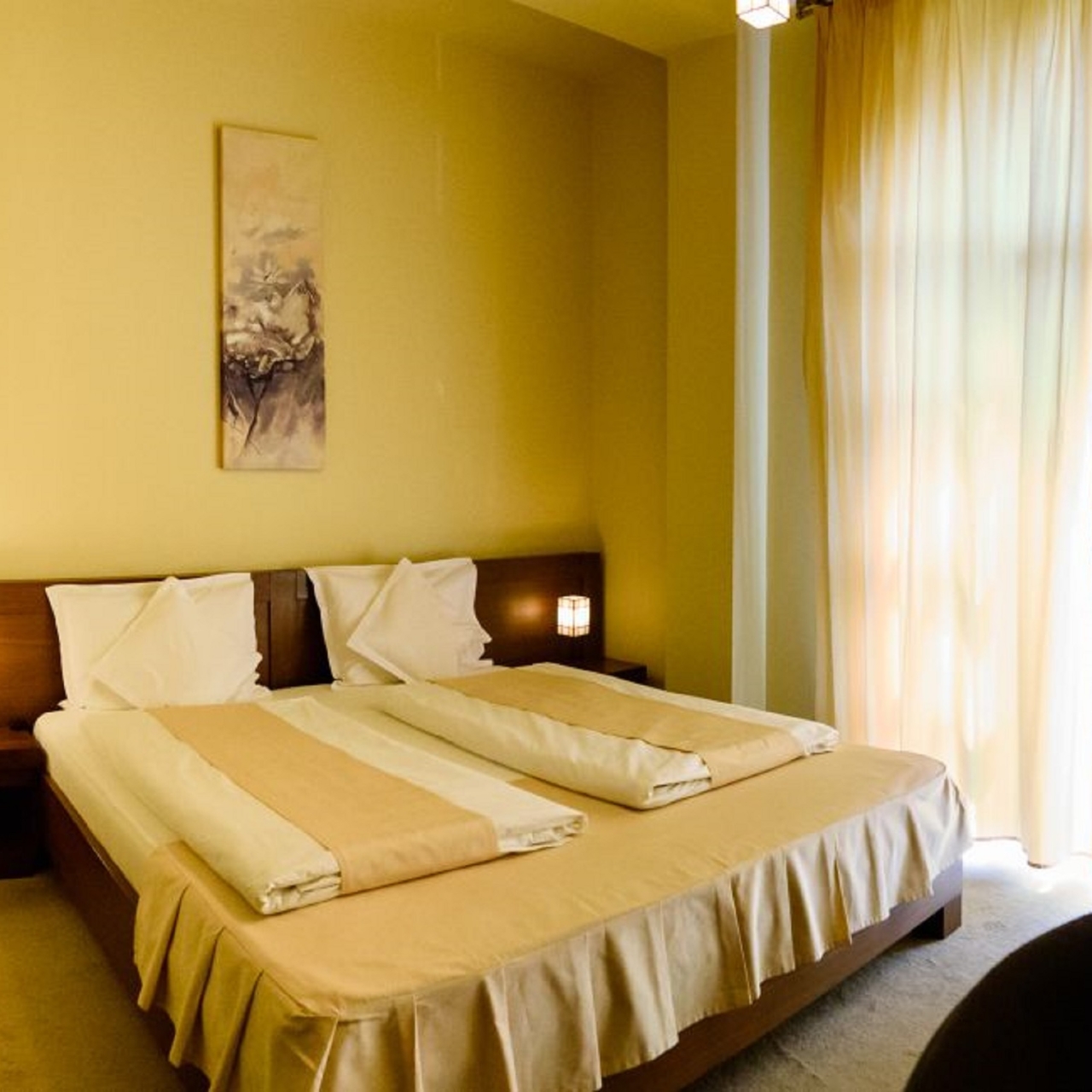 Hotel Pensiunea Passion 4 Hrs Star Hotel In Tirgu Mures Mures