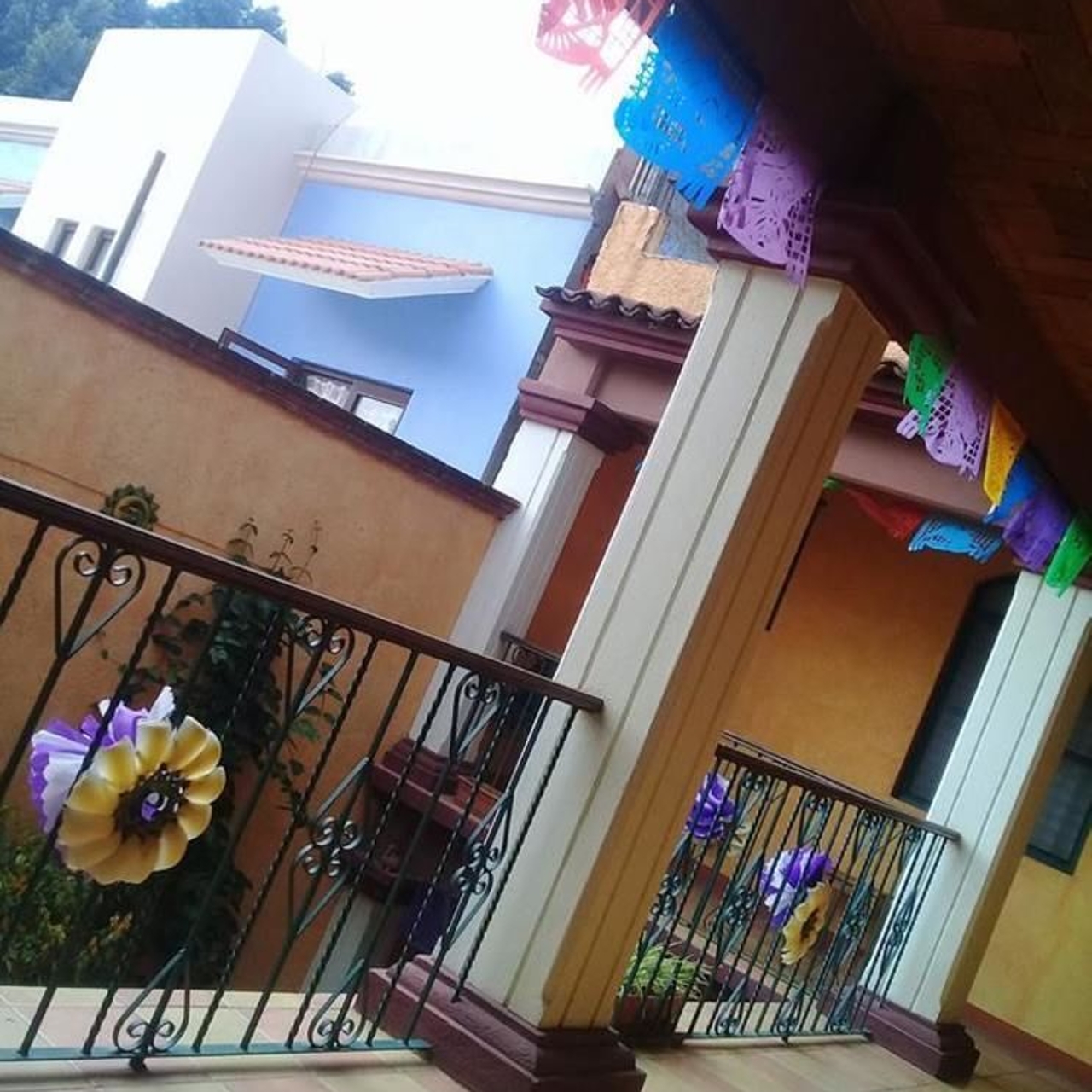 Hotel Casa Lidia 3 Hrs Star Hotel In Oaxaca De Juarez Oaxaca