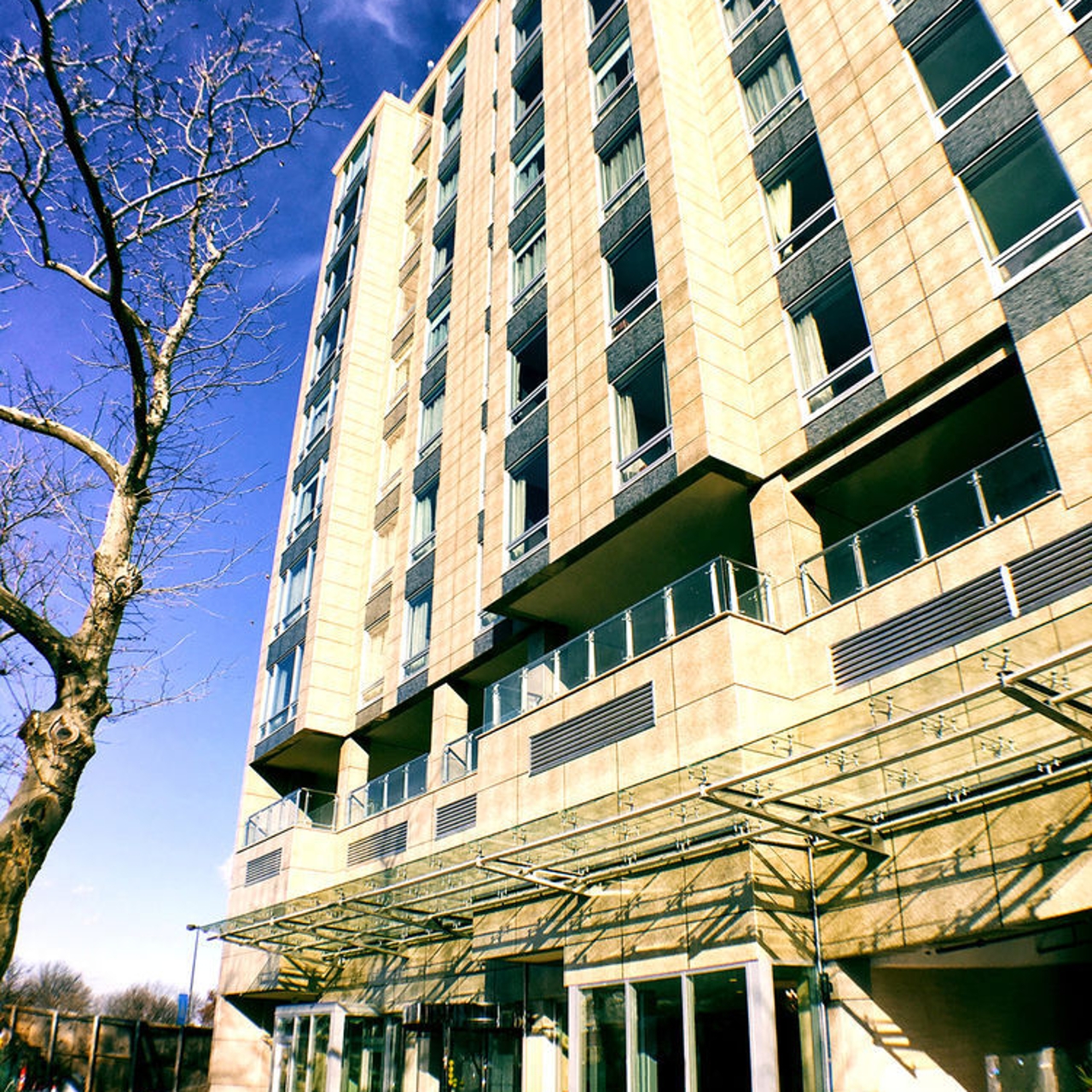 Hotel Wyndham Garden Fresh Meadows Flushing 3 Hrs Star Hotel In Bellerose Terrace New York