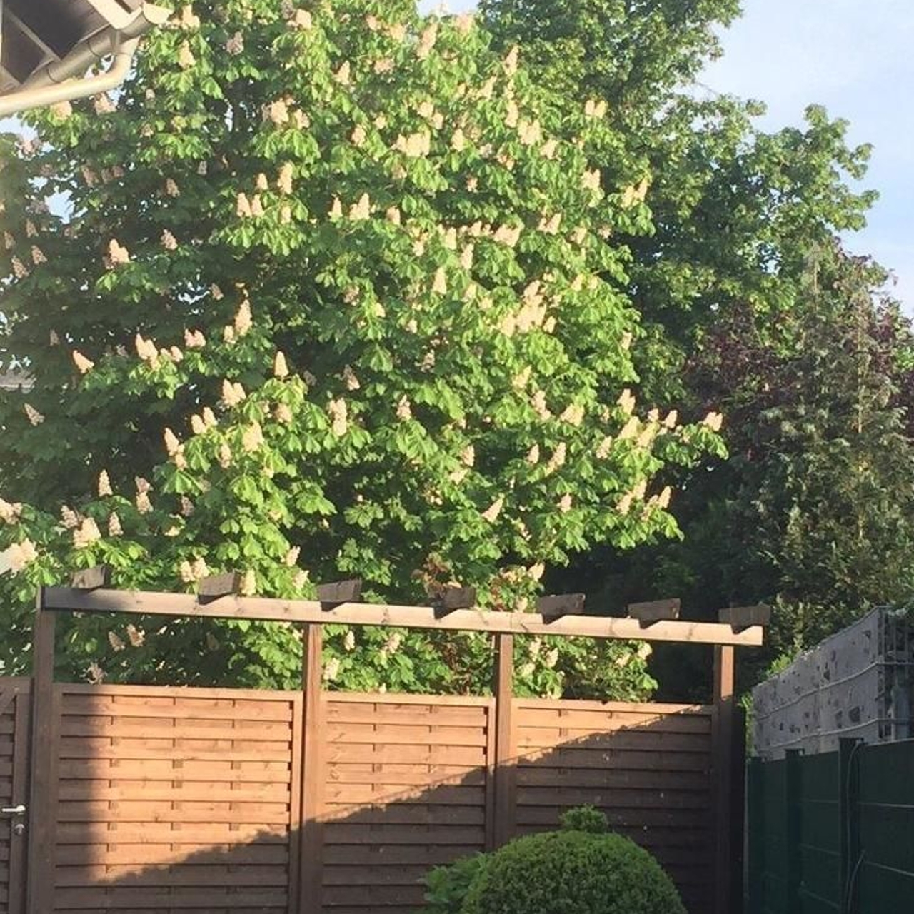 Hotel Garni Alt Refrath In Bergisch Gladbach North Rhine Westphalia Hrs