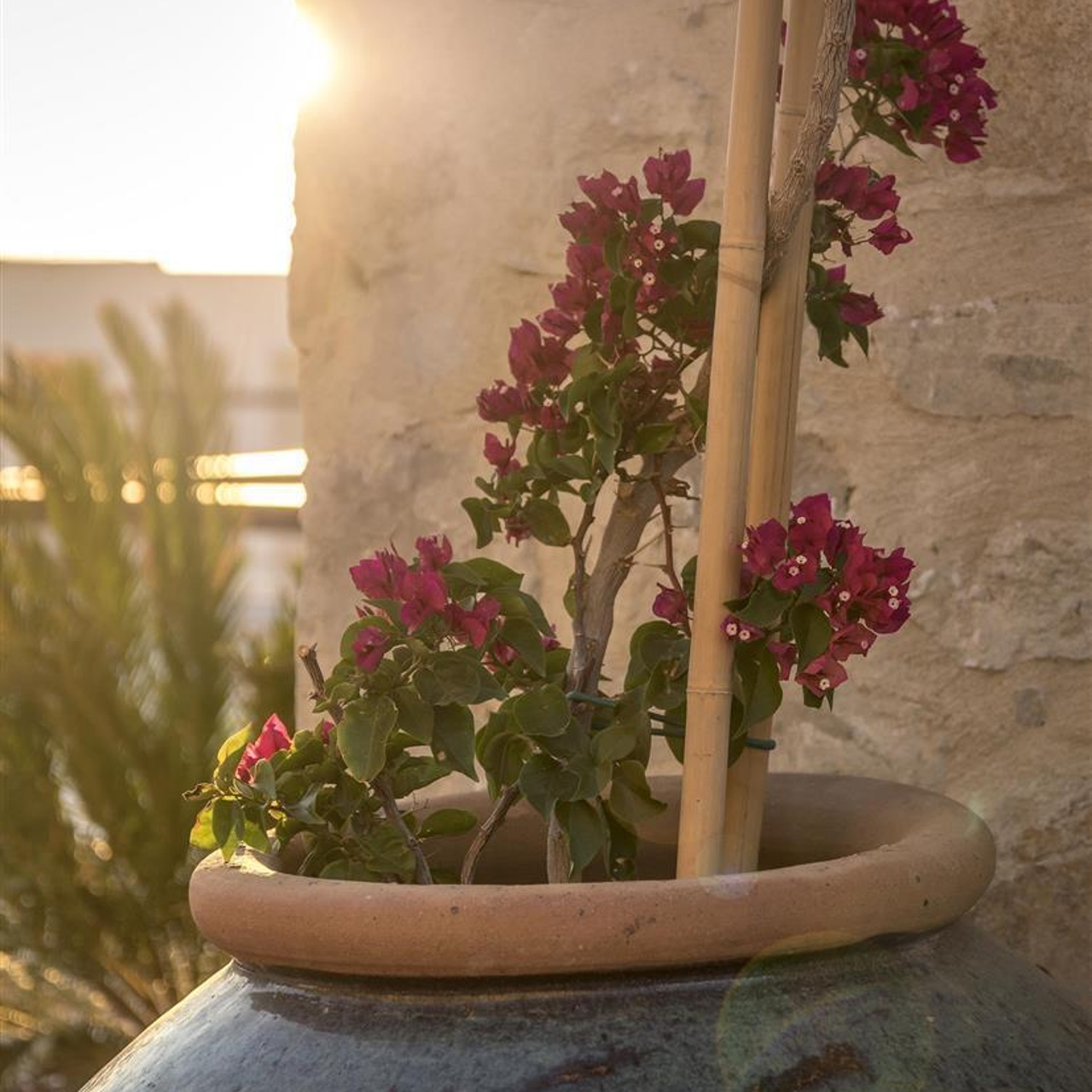 Hotel Allium Villas Resort Lvx 5 Hrs Star Hotel In Bodrum Mugla