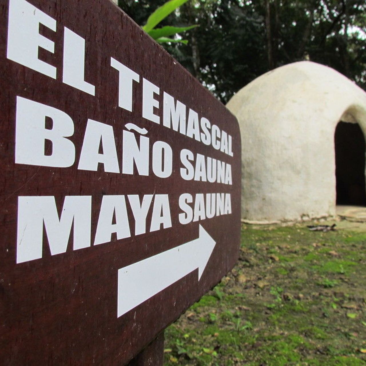Hotel Camino Real Tikal - San Jose presso HRS con servizi gratuiti