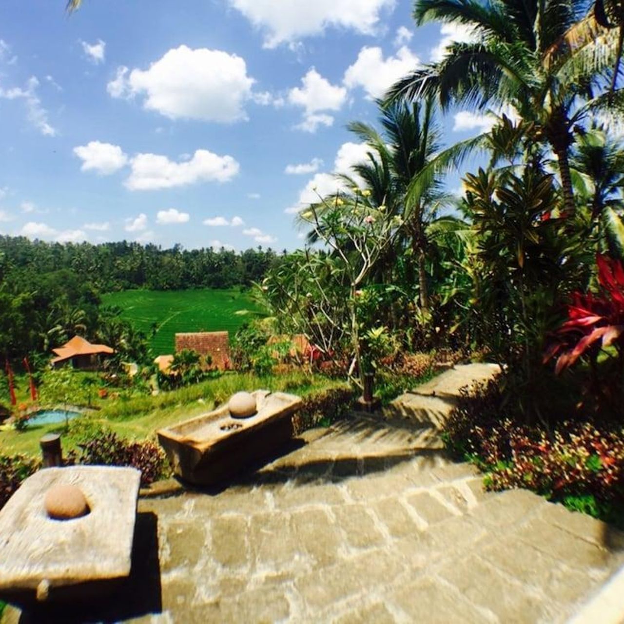 Hotel Bali Lush - Selemadeg Timur chez HRS avec services gratuits