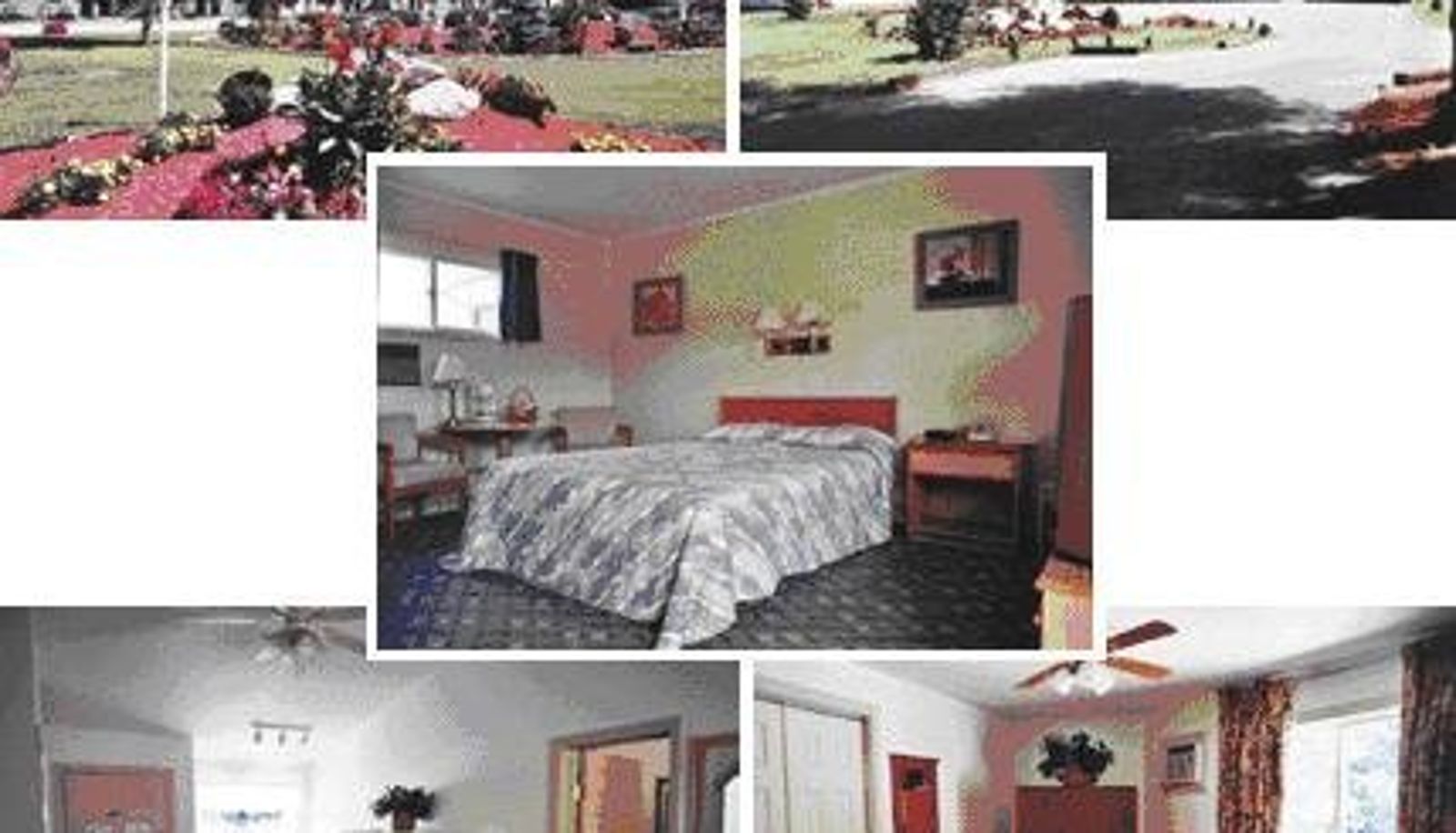 Room - Chaconia Inn