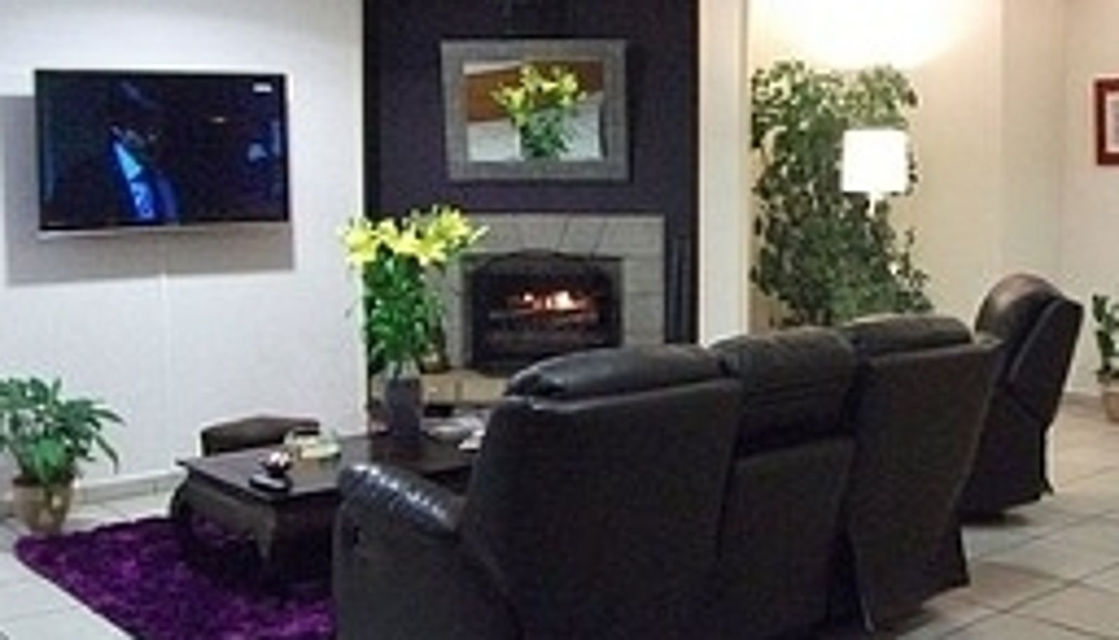 Television room - Hôtel Europa