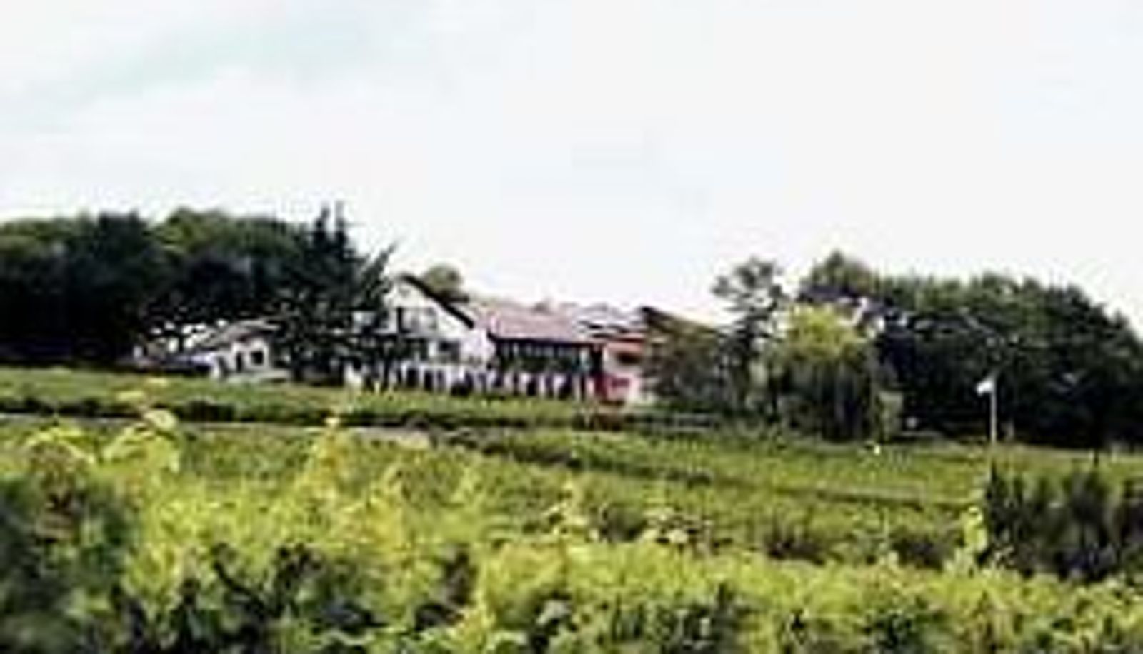 Vue - Le Clos Saint Vincent