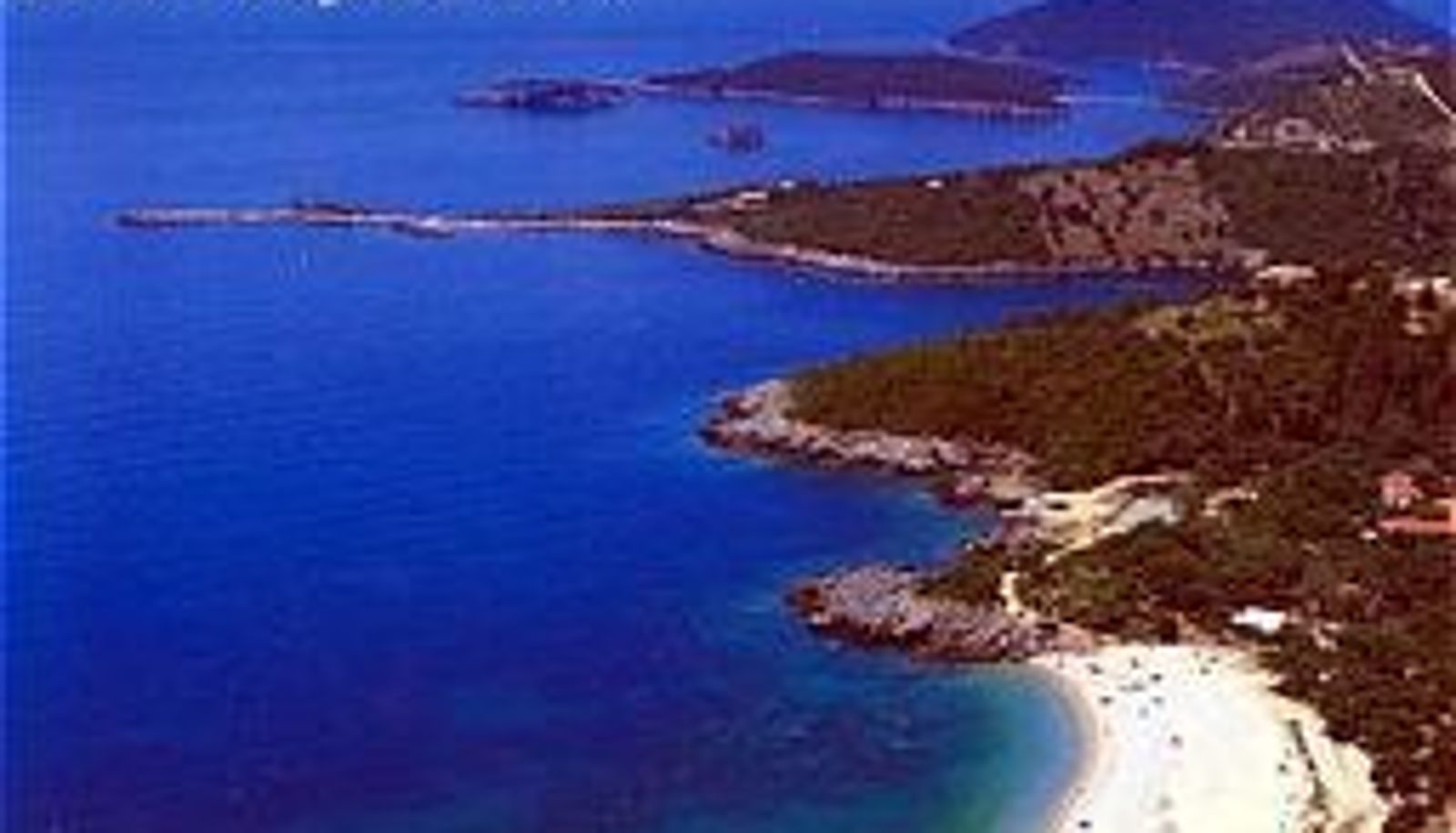 Info - Albatros Hotel