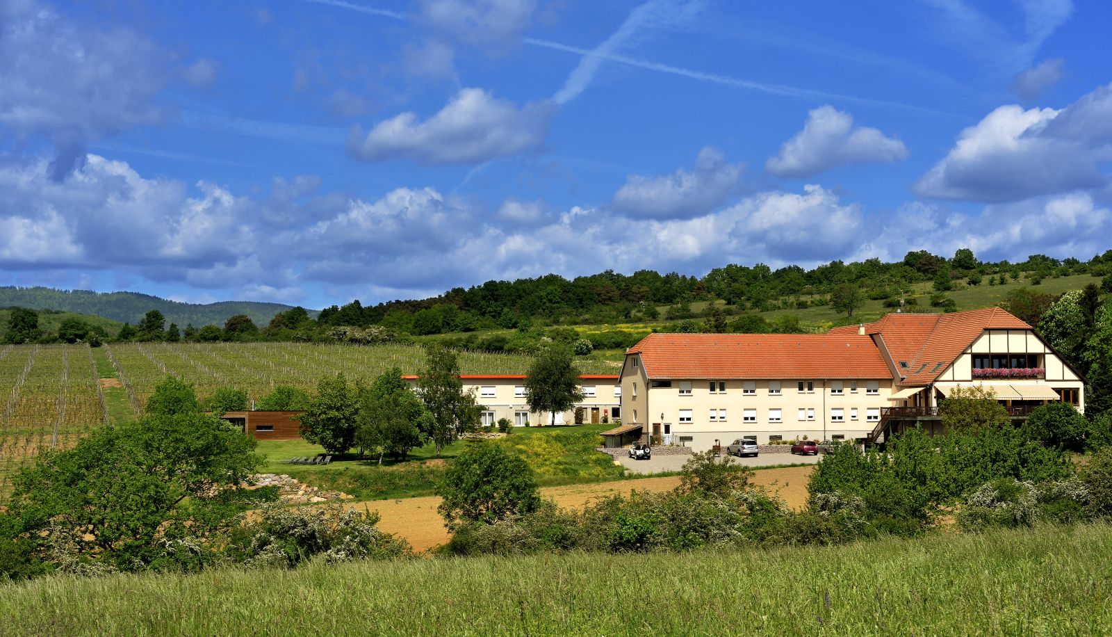 Hotel outdoor area - Citotel Bollenberg