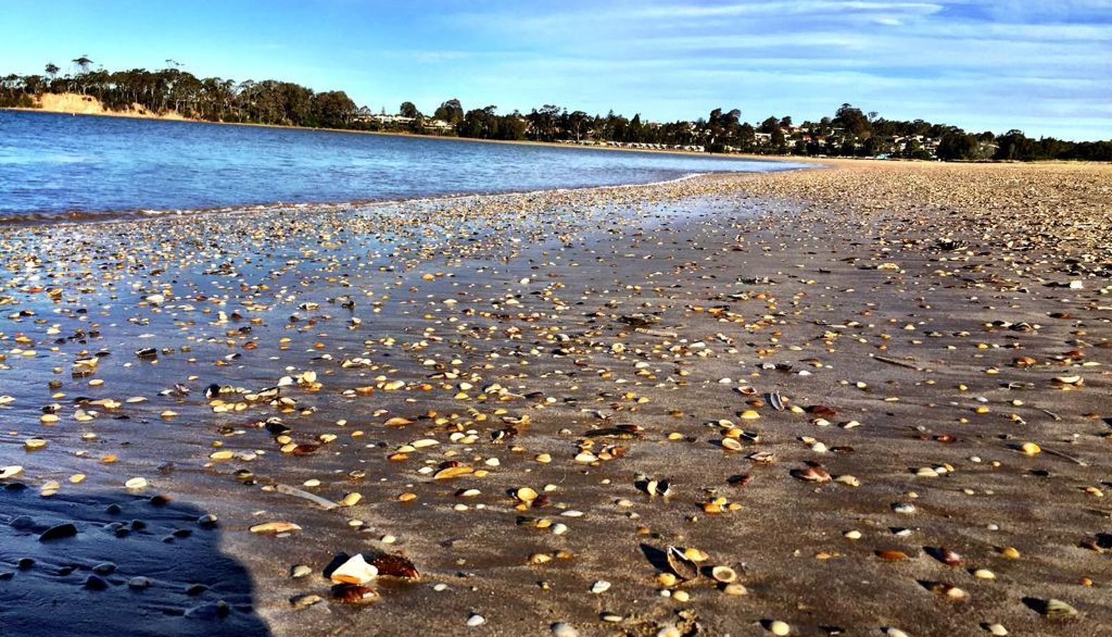 Info - Reef Motor Inn Batemans Bay