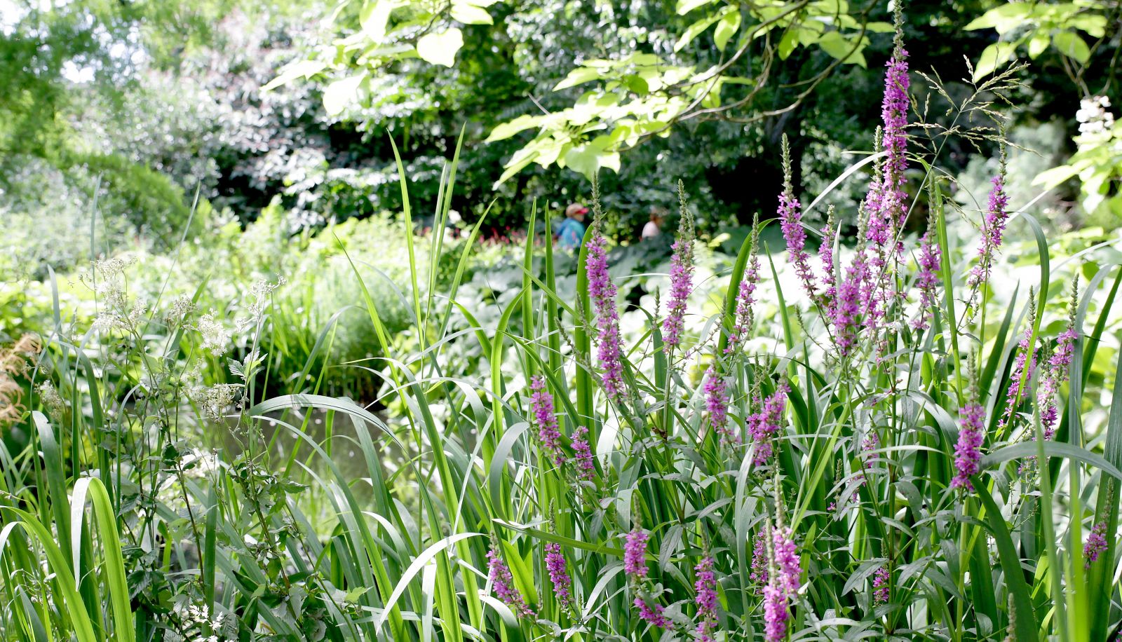 Giardino - Hotel Cafe Restaurant Koekenbier Abcoude