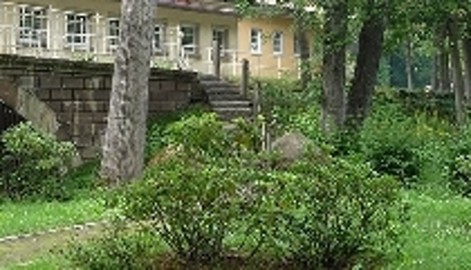 Ausblick - Sächsisches Haus Parkhotel