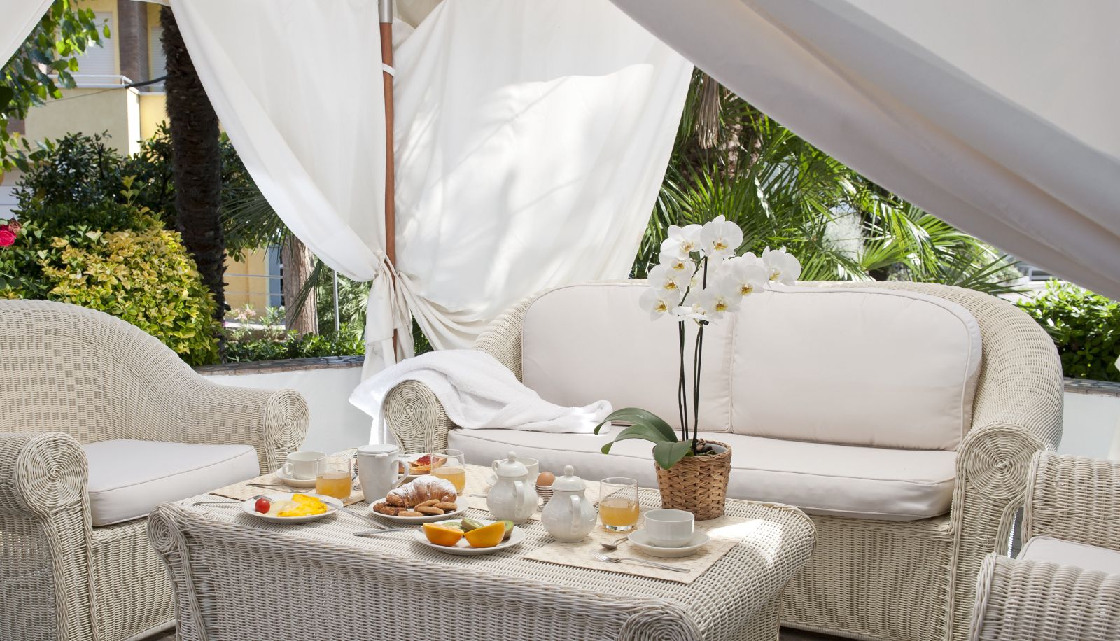 Garten - Hotel Alexander