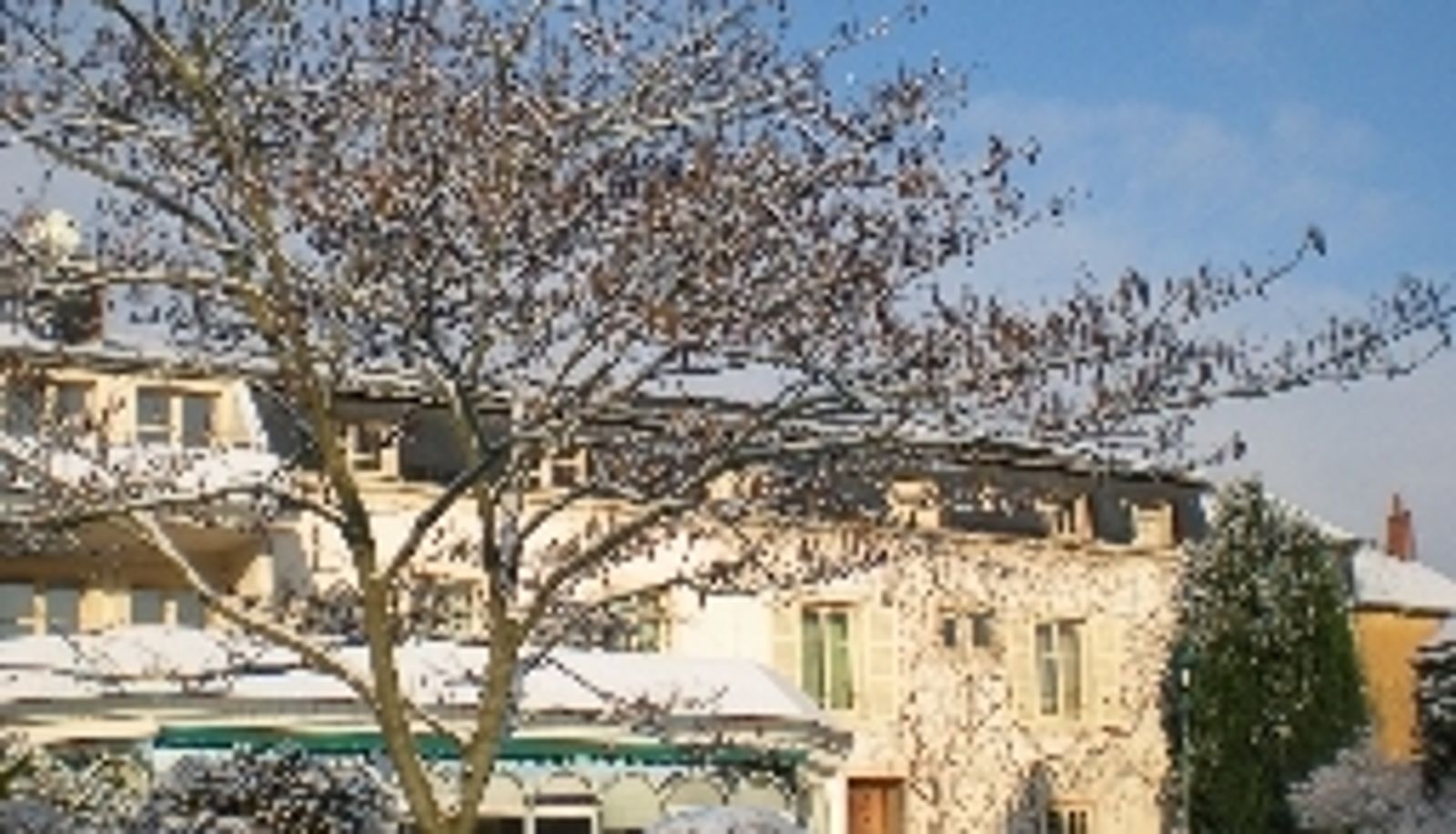 Tuin - Hotel Ricordeau