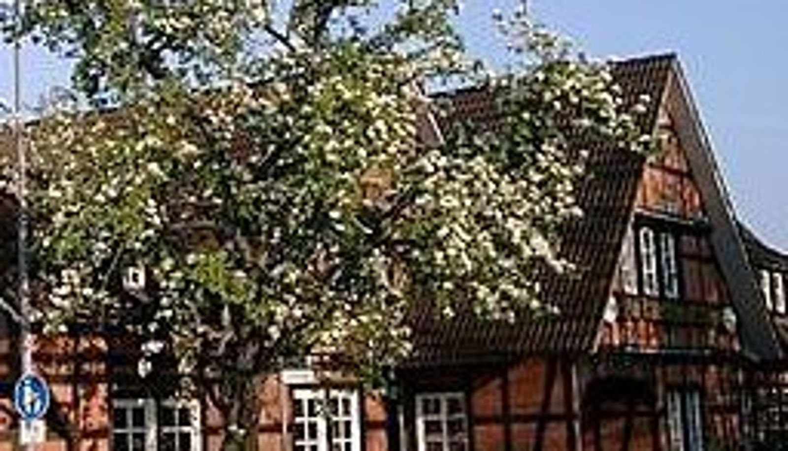 Hall - Bähre Gasthaus