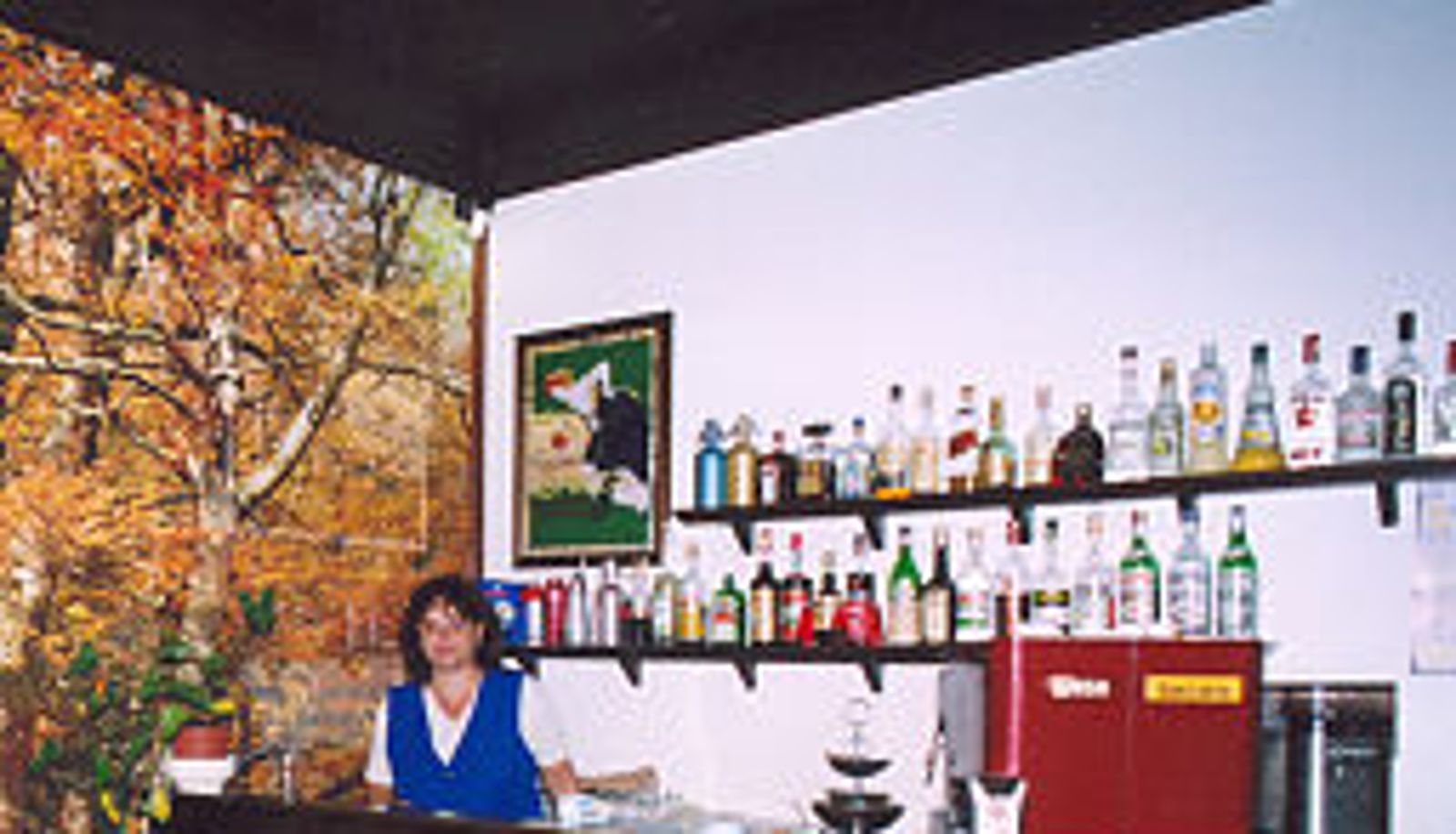 Bar - Hotel Villa Pina