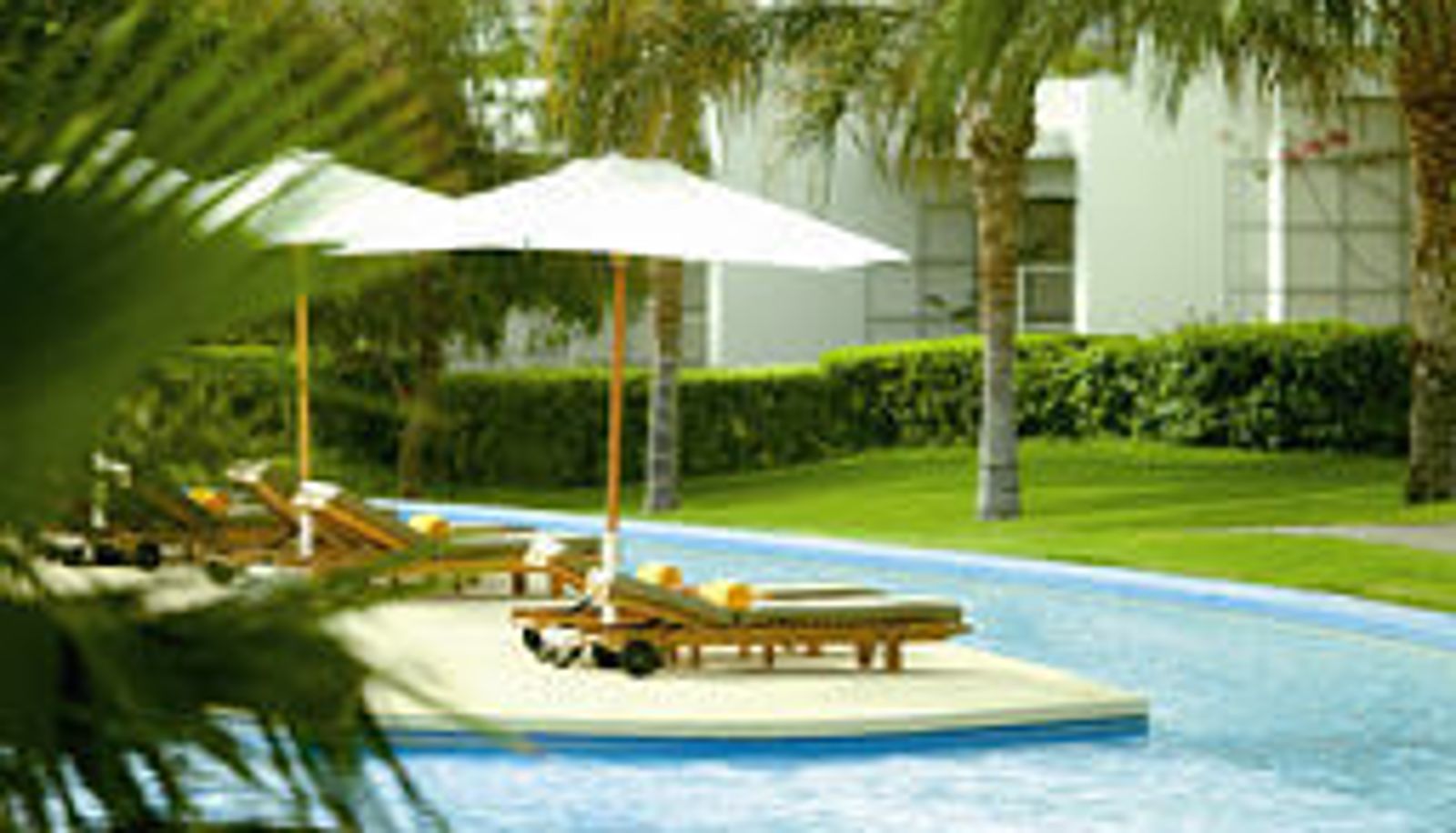Pool - Monte Carlo Sharm Resort & Spa