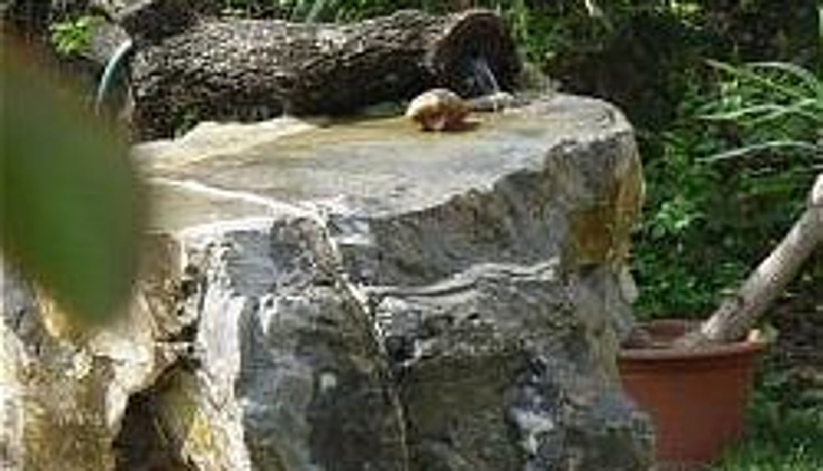 Giardino - Weisz