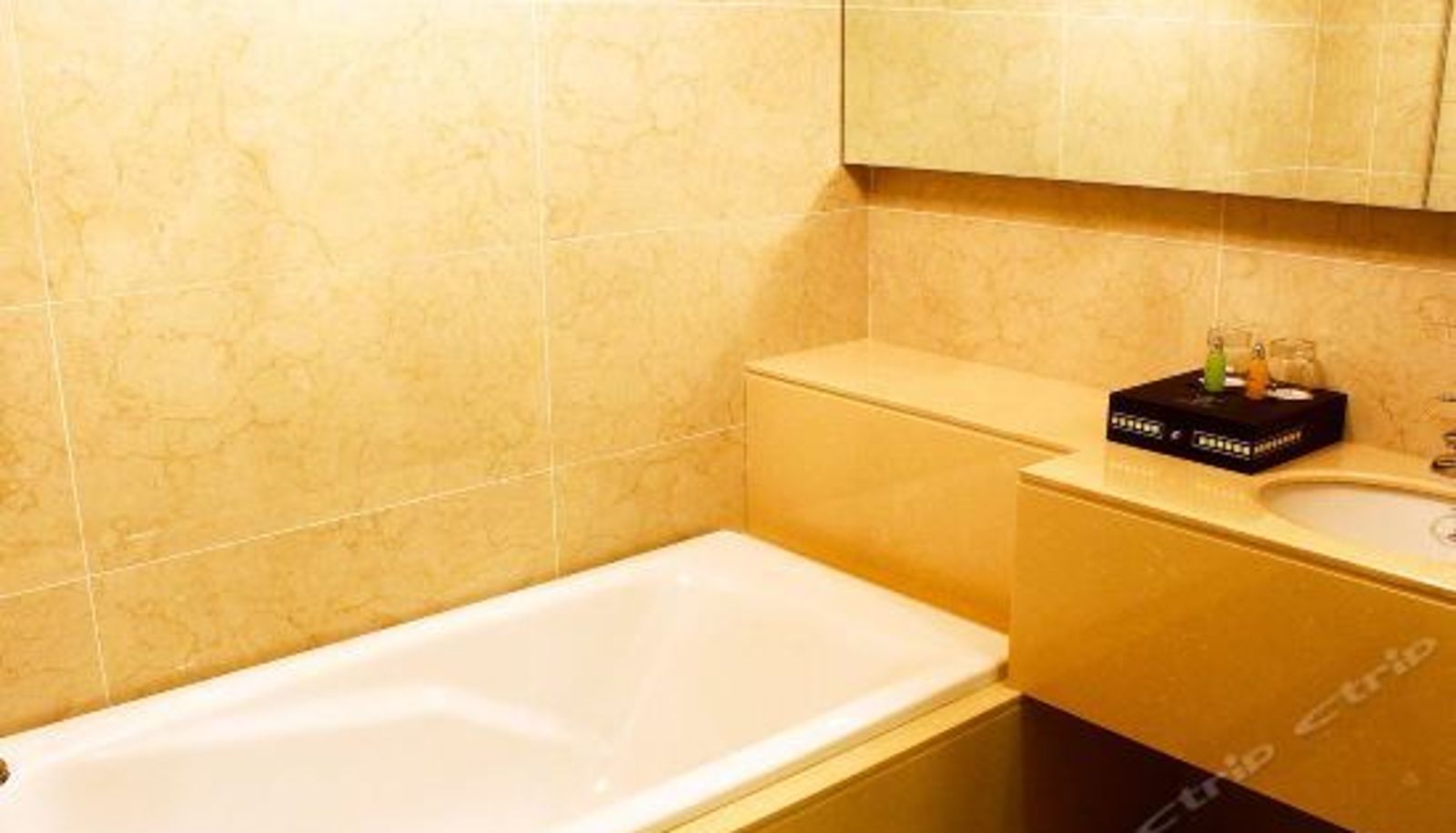 Vista interna - Tanggu Hotel (Xi'an Great Wild Goose Pagoda Tang Paradise)