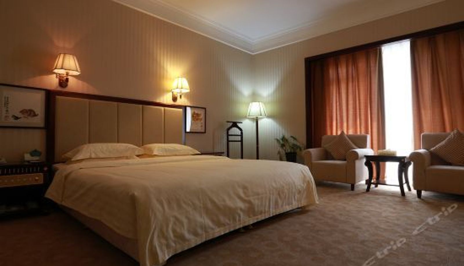 Business room - She Ke Bo Yuan Hotel