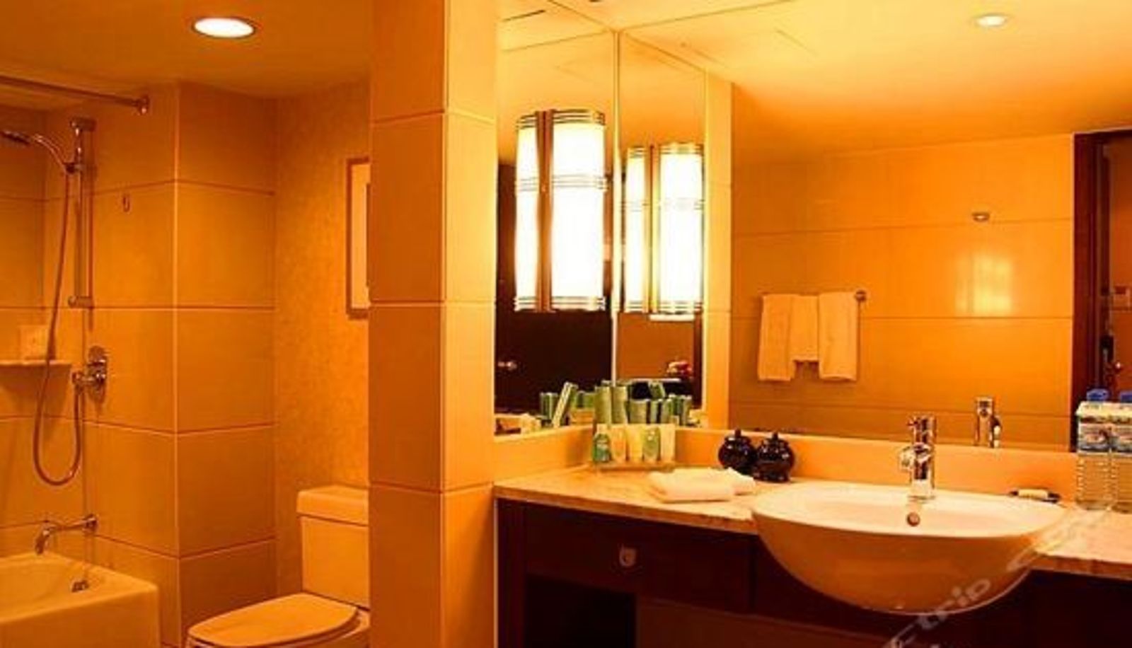 Suite - Golden Flower Hotel Xi'an
