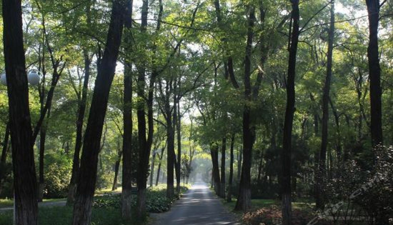 Interior view - Beijing Shunxin Green Resort