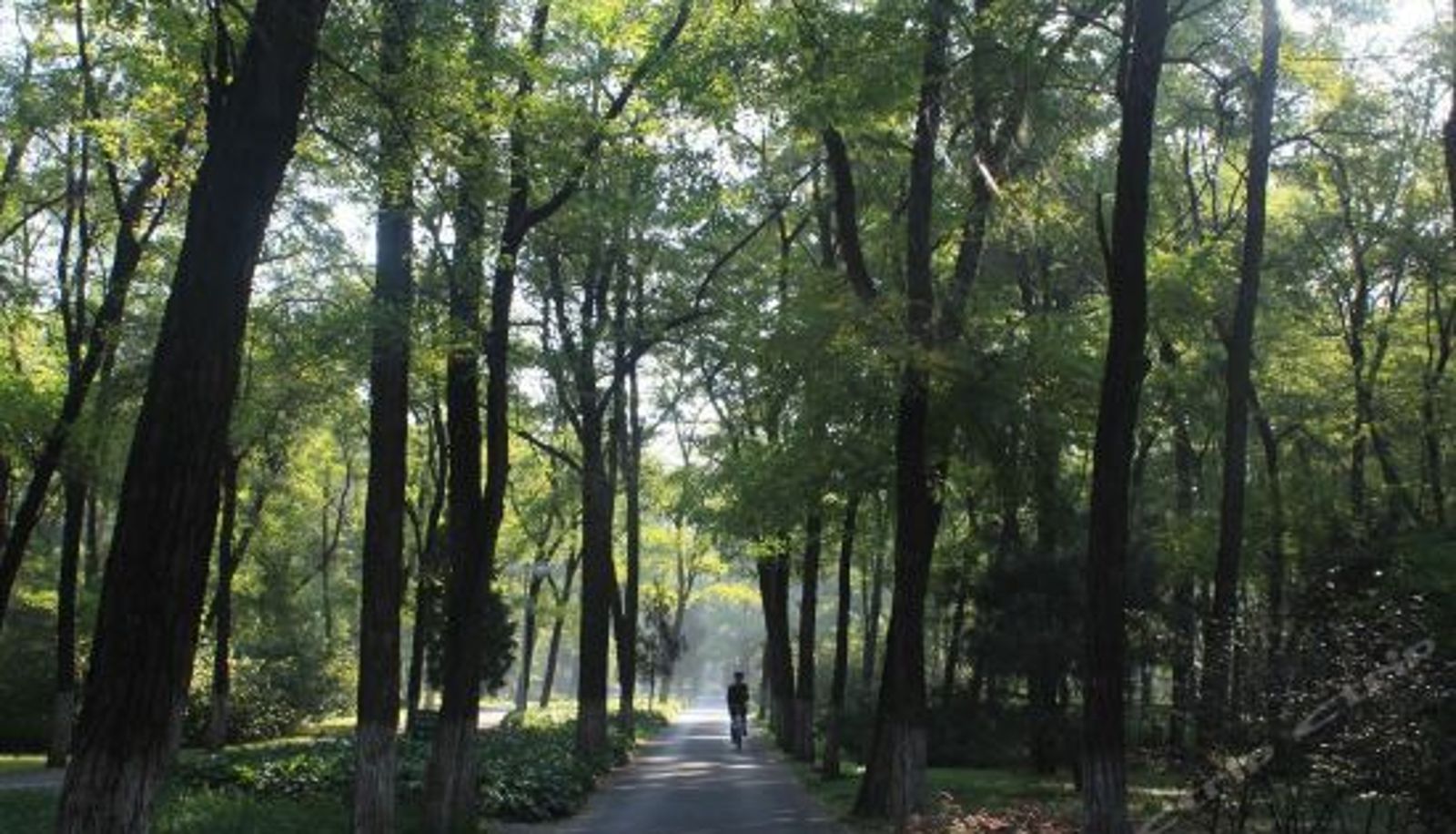 Innenbreich - Beijing Shunxin Green Resort