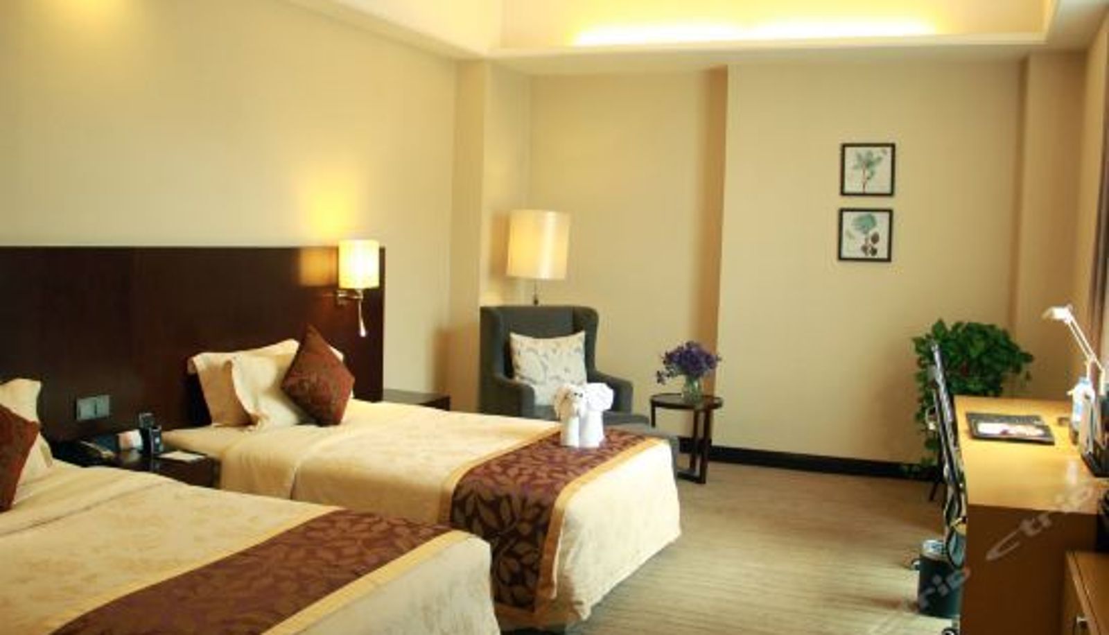 Camera business - ZTE Hotel Xi'an