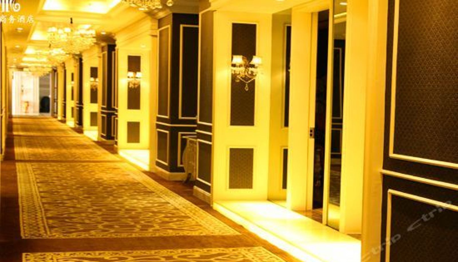 Recepción - McQueen Hotel