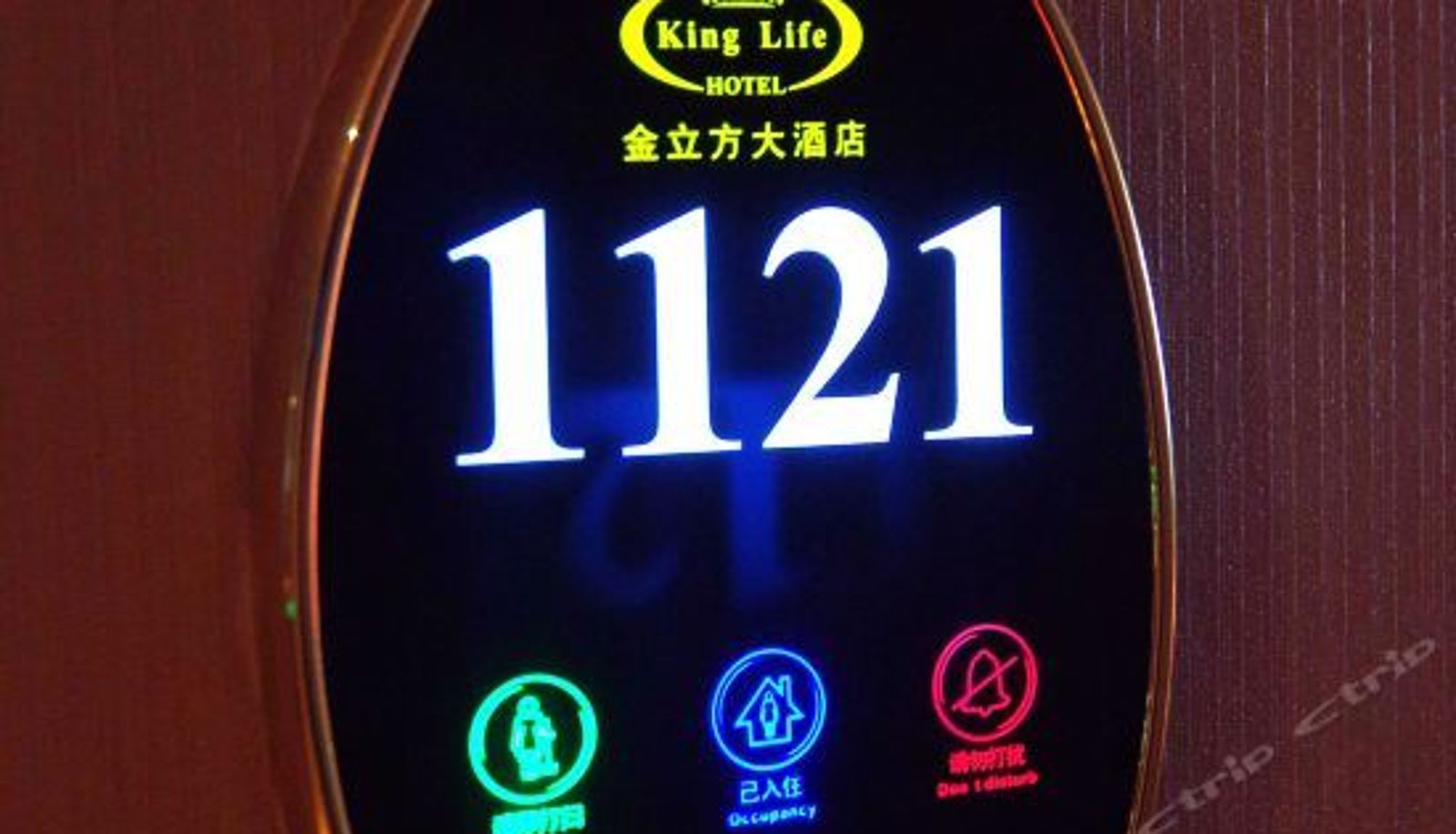 Recepcja - King Life Hotel