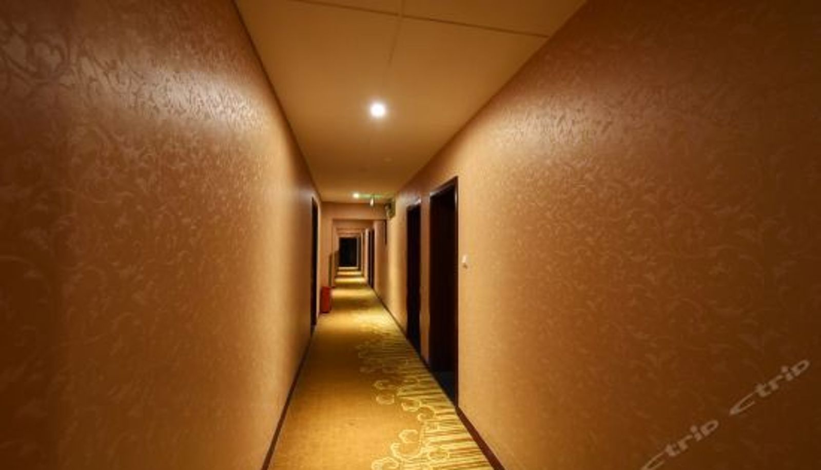 Reception - Jinte Business Hotel