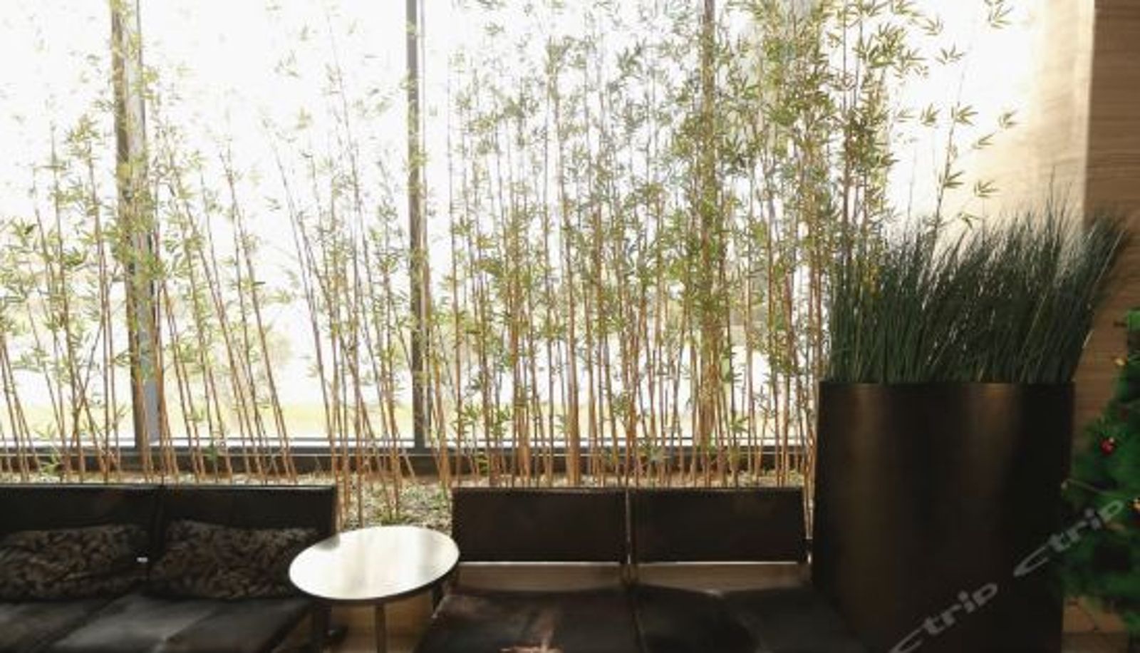 Reception - Bo'gang Seaview Holiday Hotel (Qingdao Naluwan)