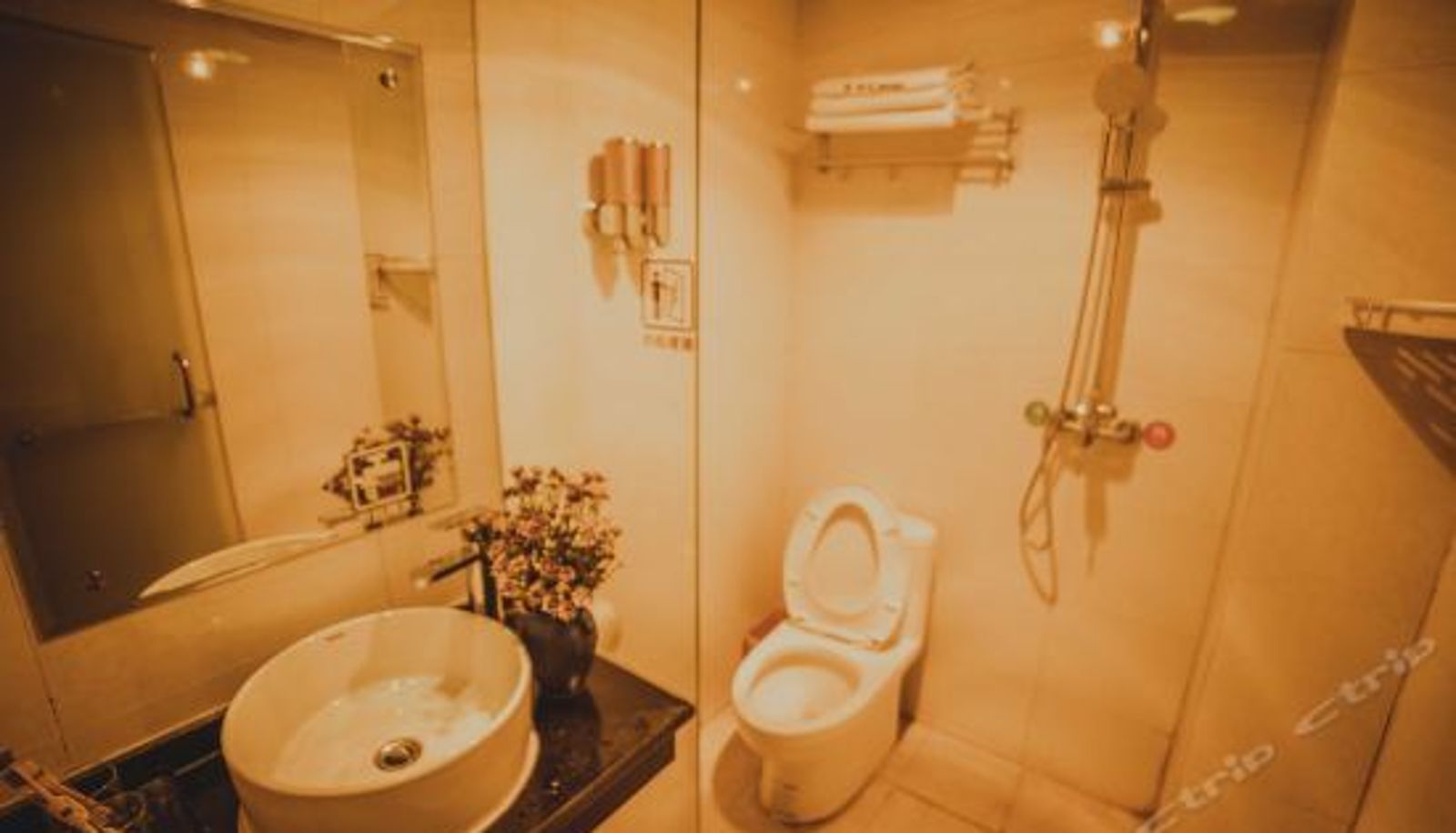 Chambre quadruple - Ruo Chujian Youth Hotel