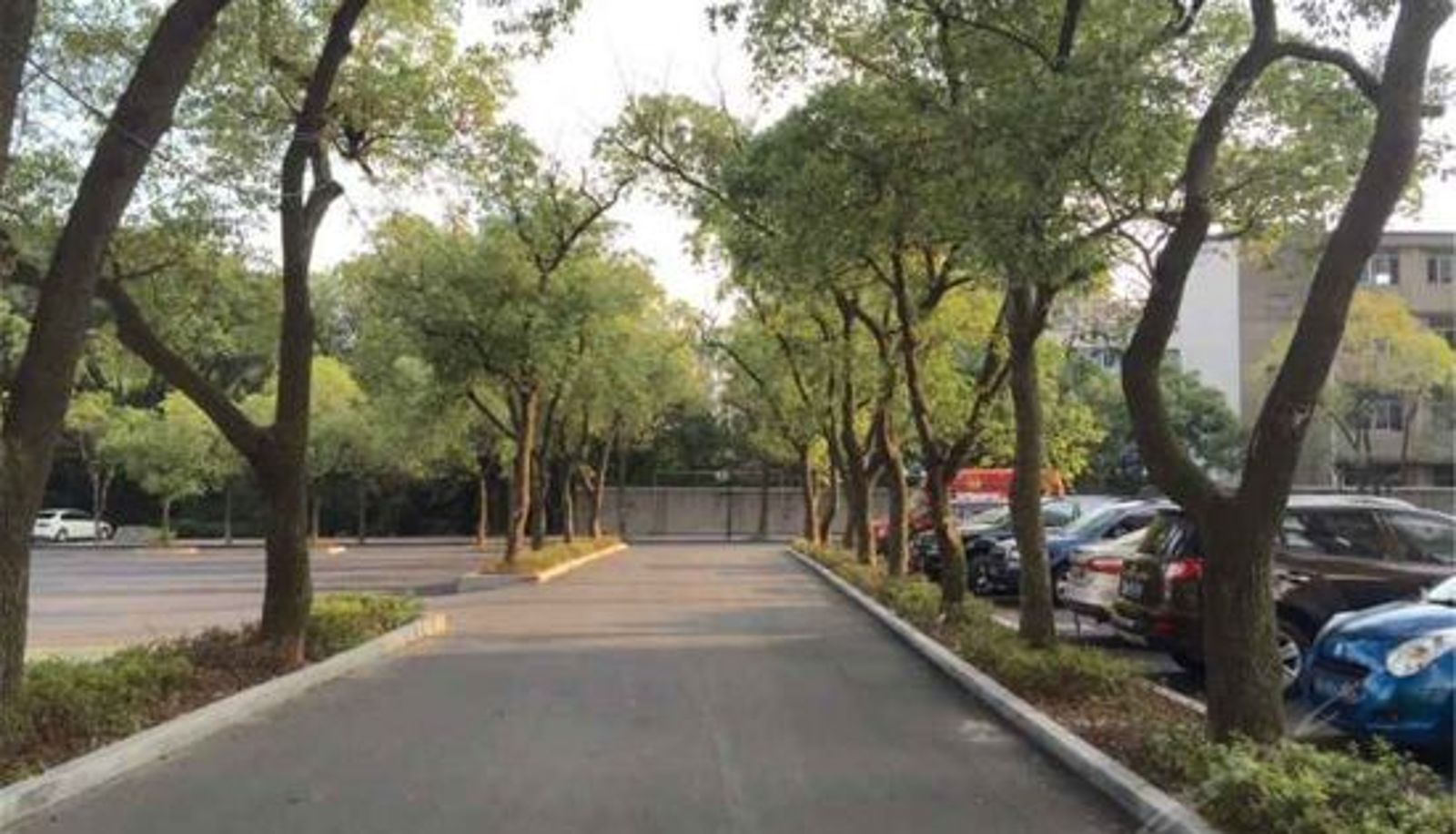 Rezeption - Bolanze Hotel