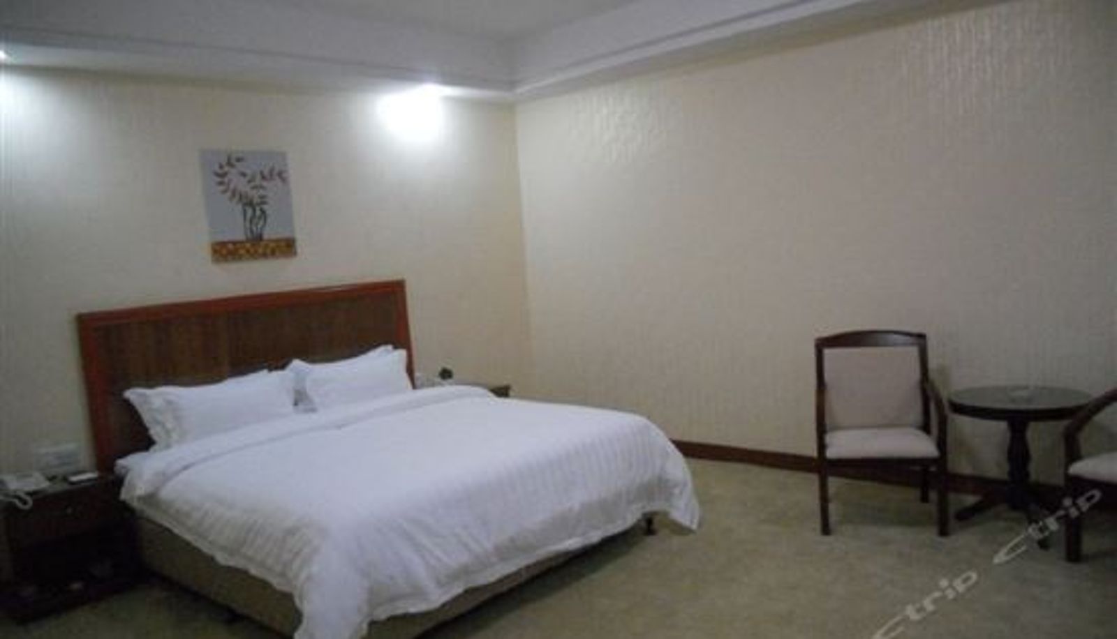 Chambre Supérieure - Shanghong Business Hotel