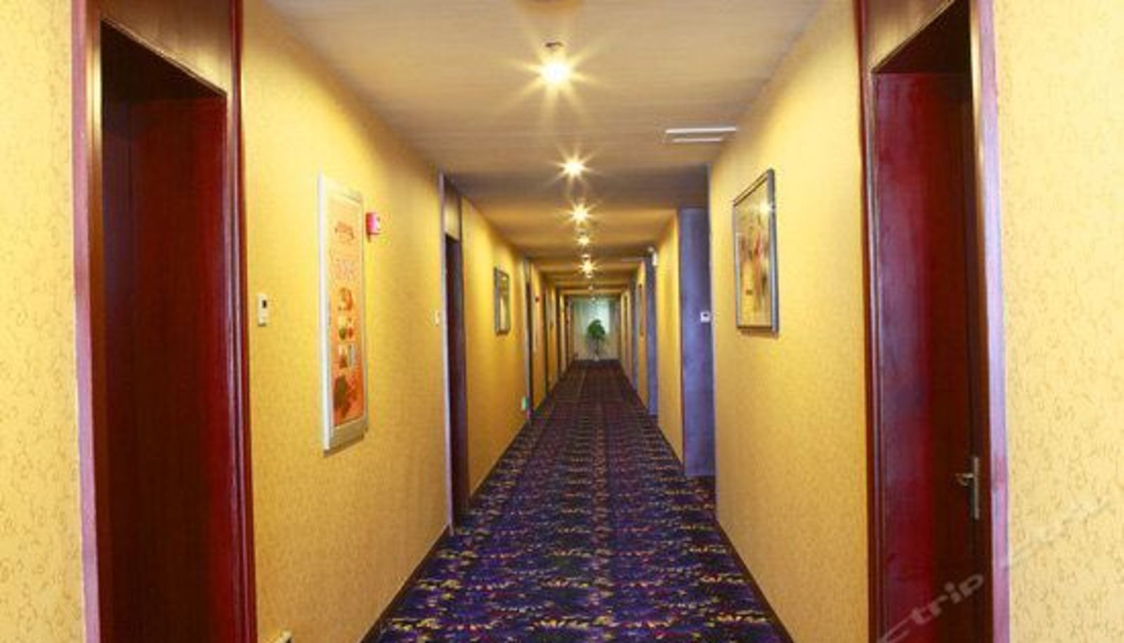 Rezeption - Jiahao Hotel