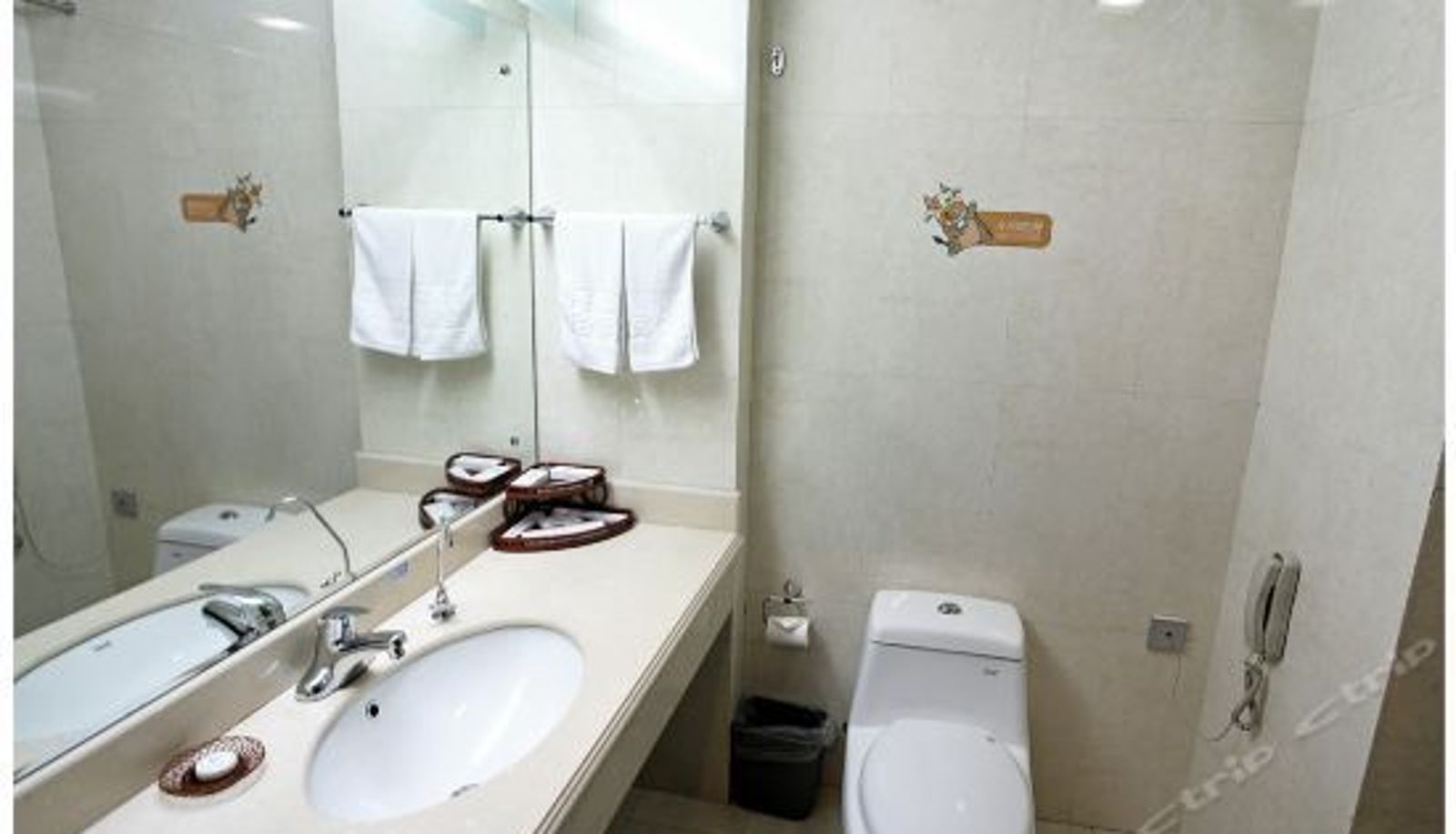 Camera business - Tang Steel Hotel
