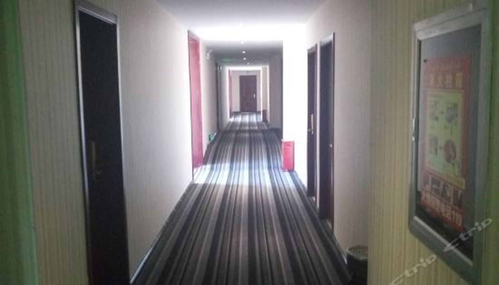 Reception - 伊宁市伊宁贝佳酒店