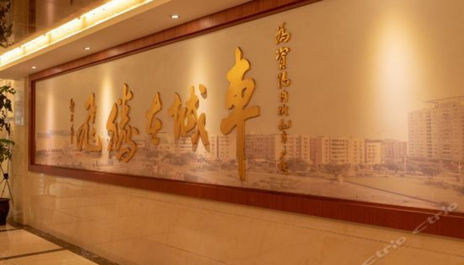 Recepcja - 资阳车城酒店