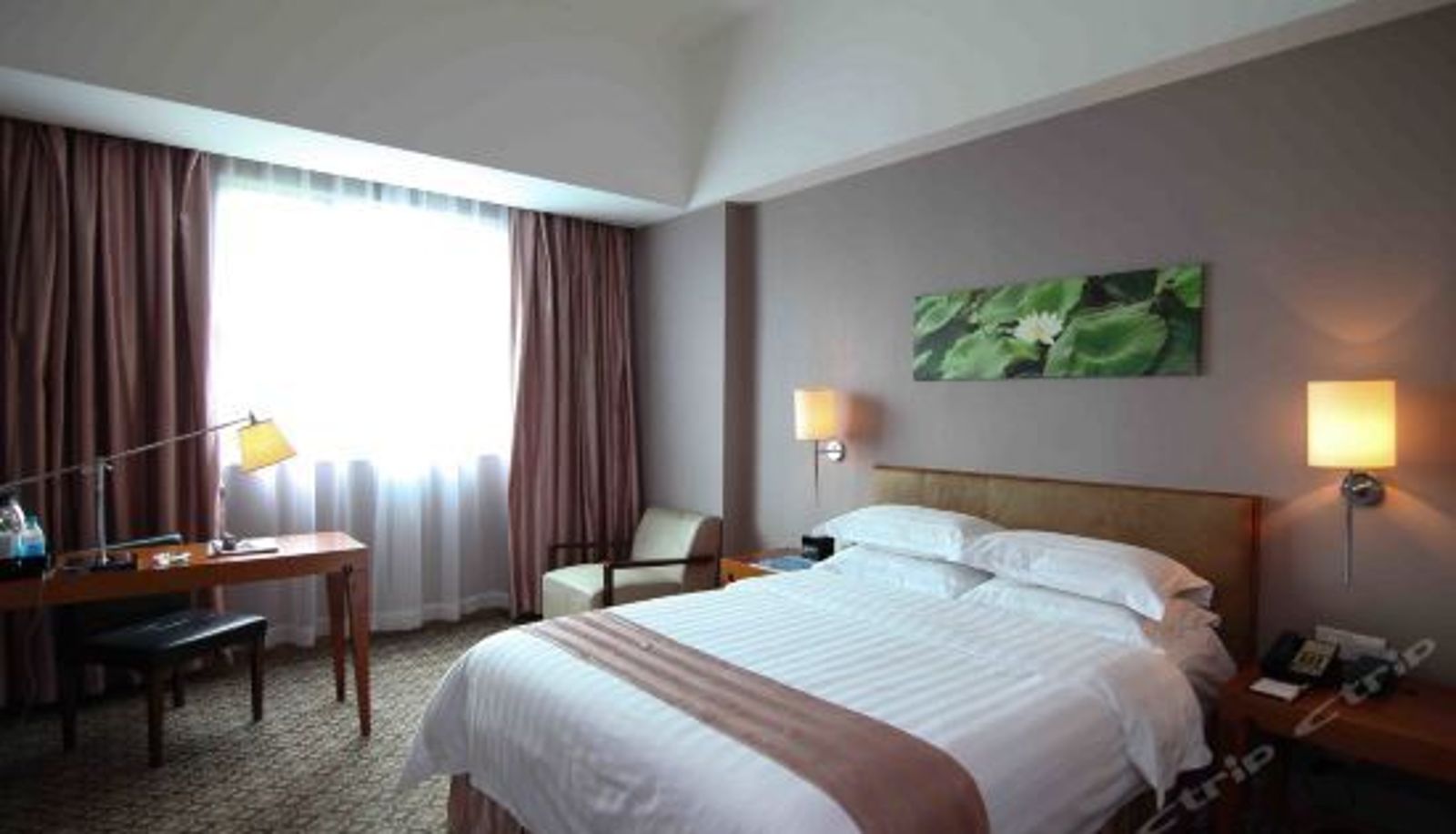 Chambre Supérieure - Wintop Hotel